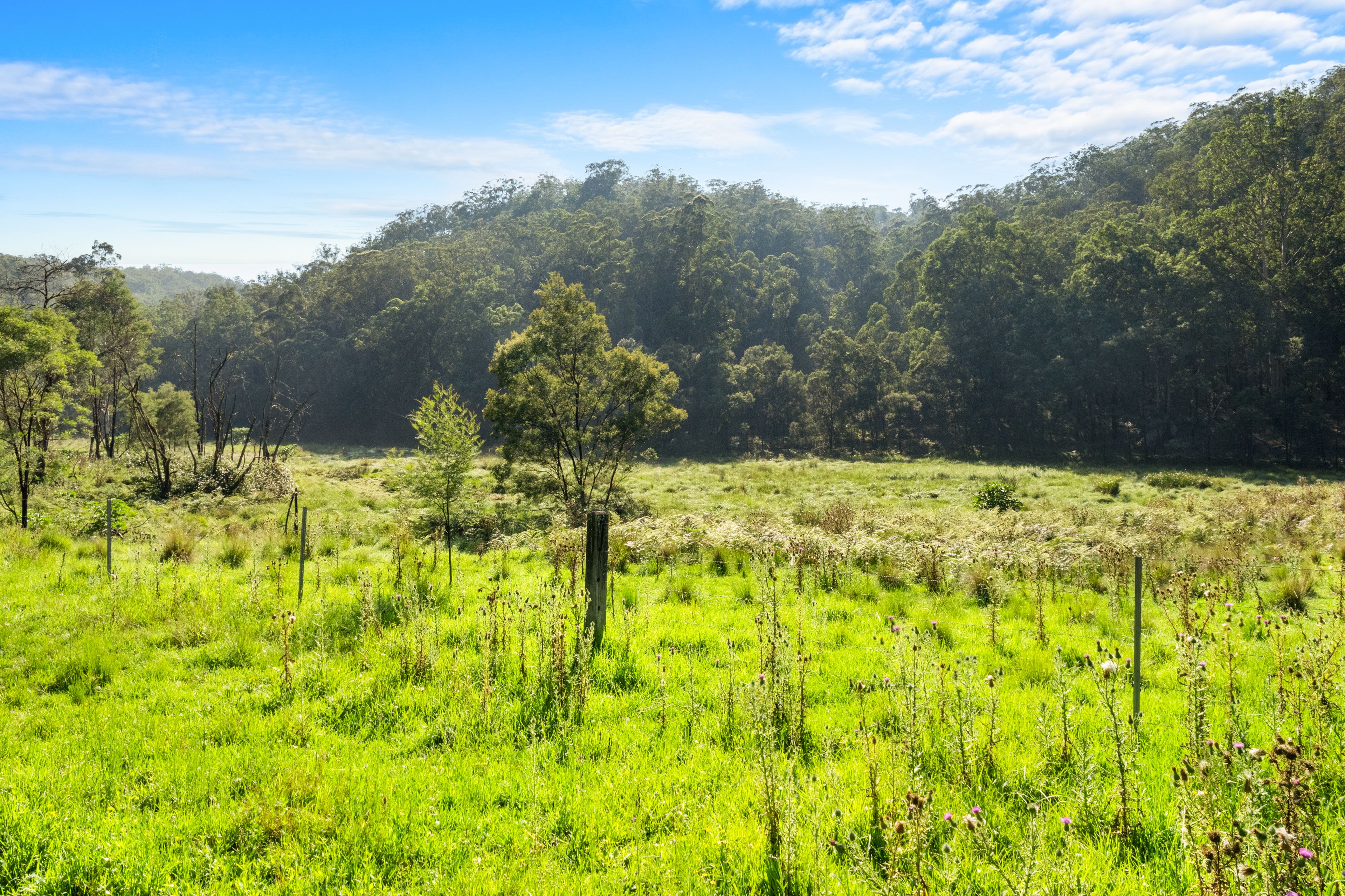 301 Bakers Road — photo from Ray White Rural Hawkesbury