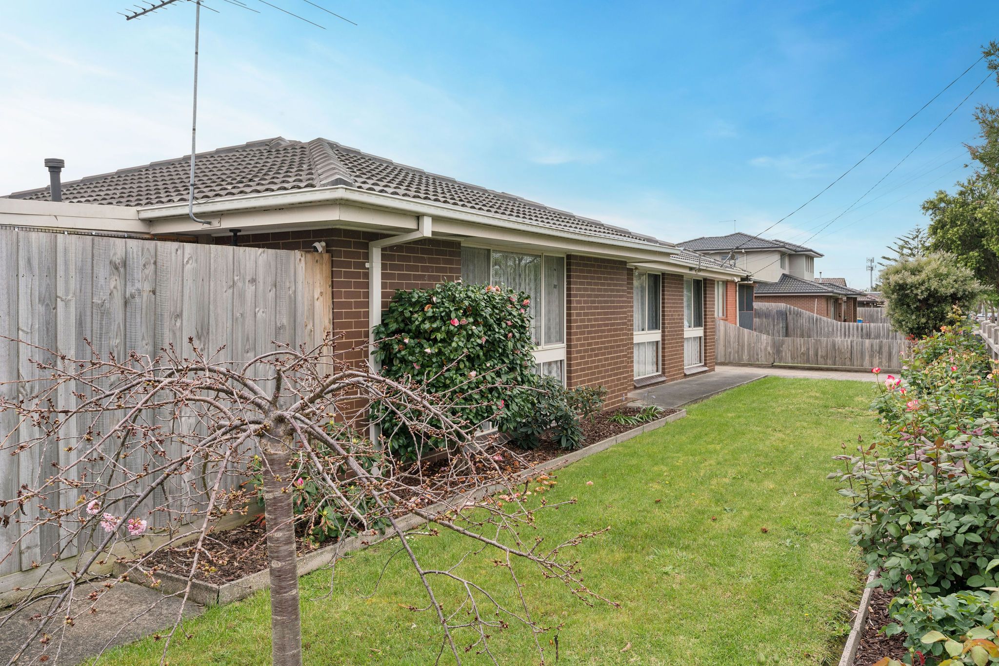 1 Alexander Street, Cranbourne, VIC 3977