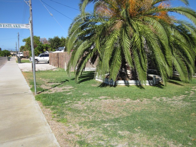 45 Bower Street, Jurien Bay, WA 6516