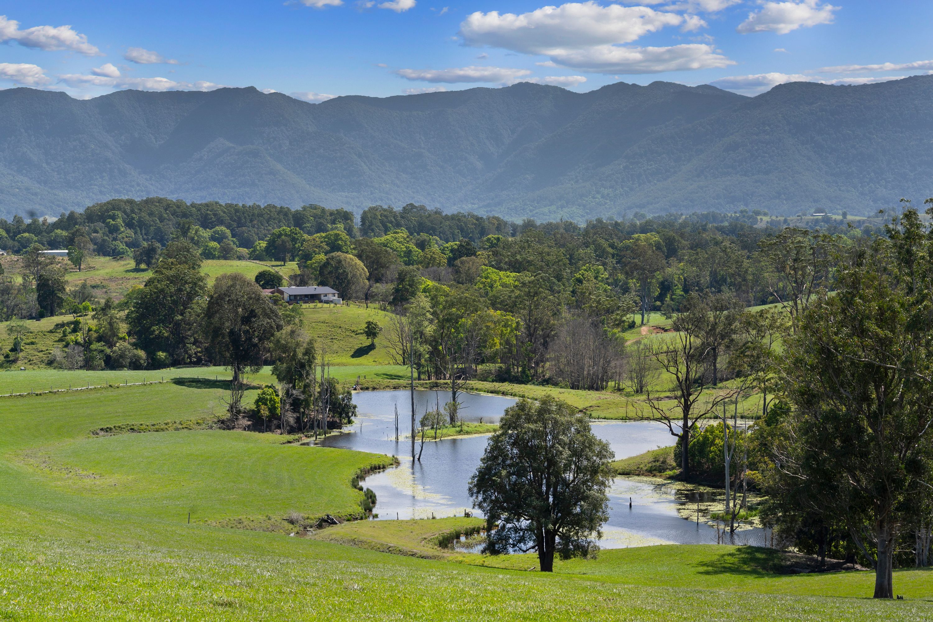 703 Brays Creek Road, Brays Creek, NSW 2484