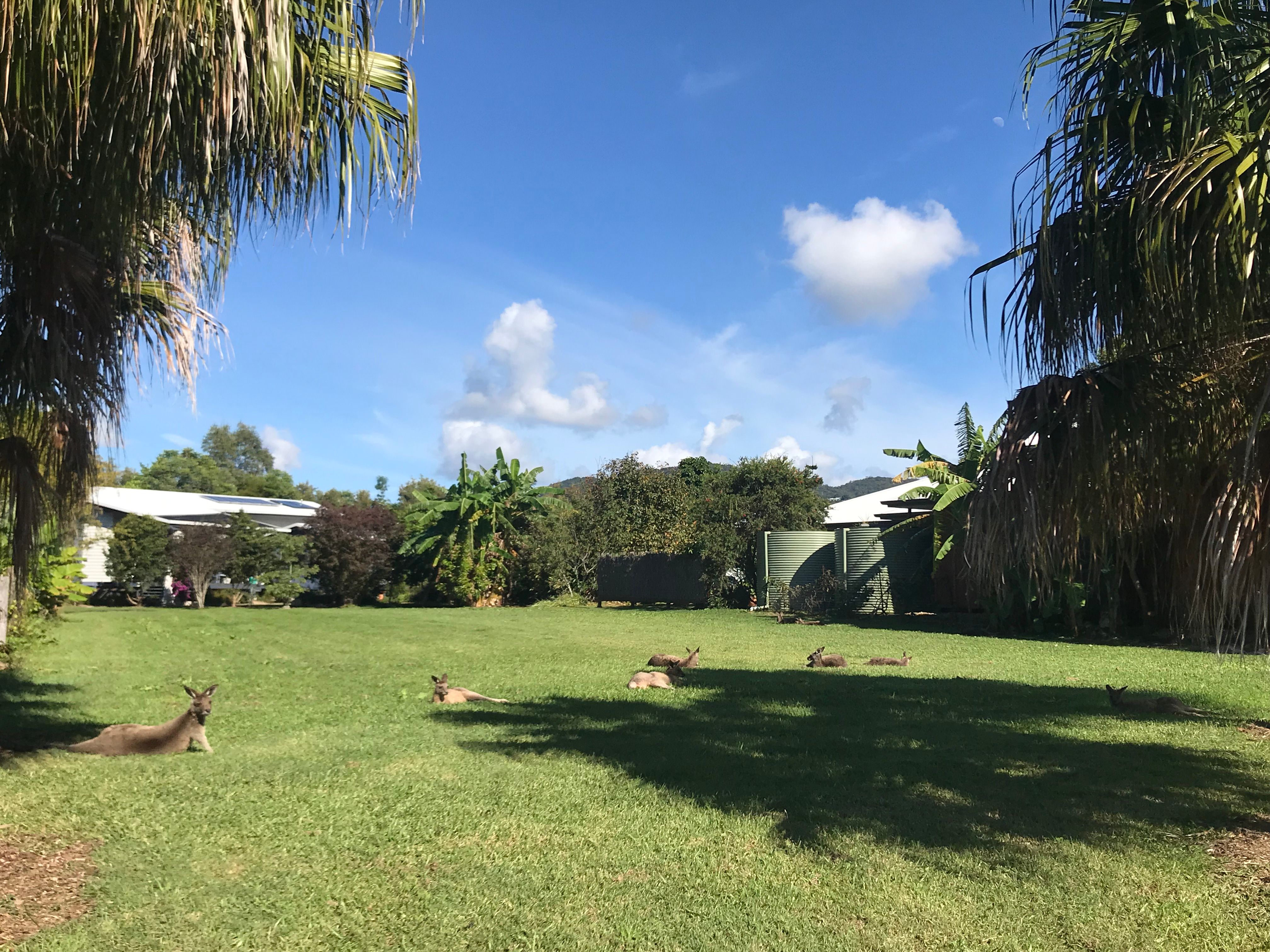 19 Village Way, Currumbin Valley QLD 4223