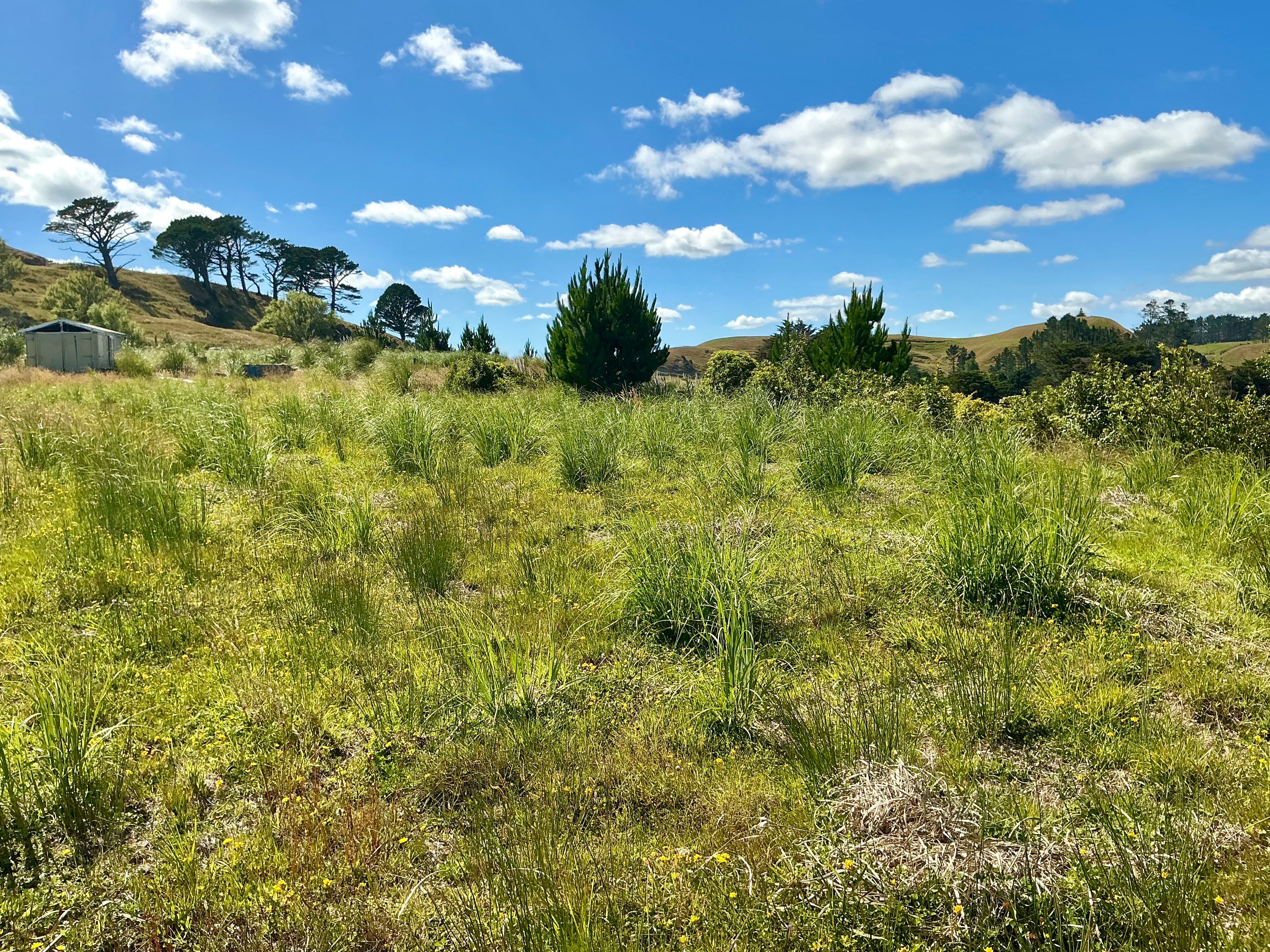 1391 Kaipara Hills Road, Kaipara Flats, Rodney