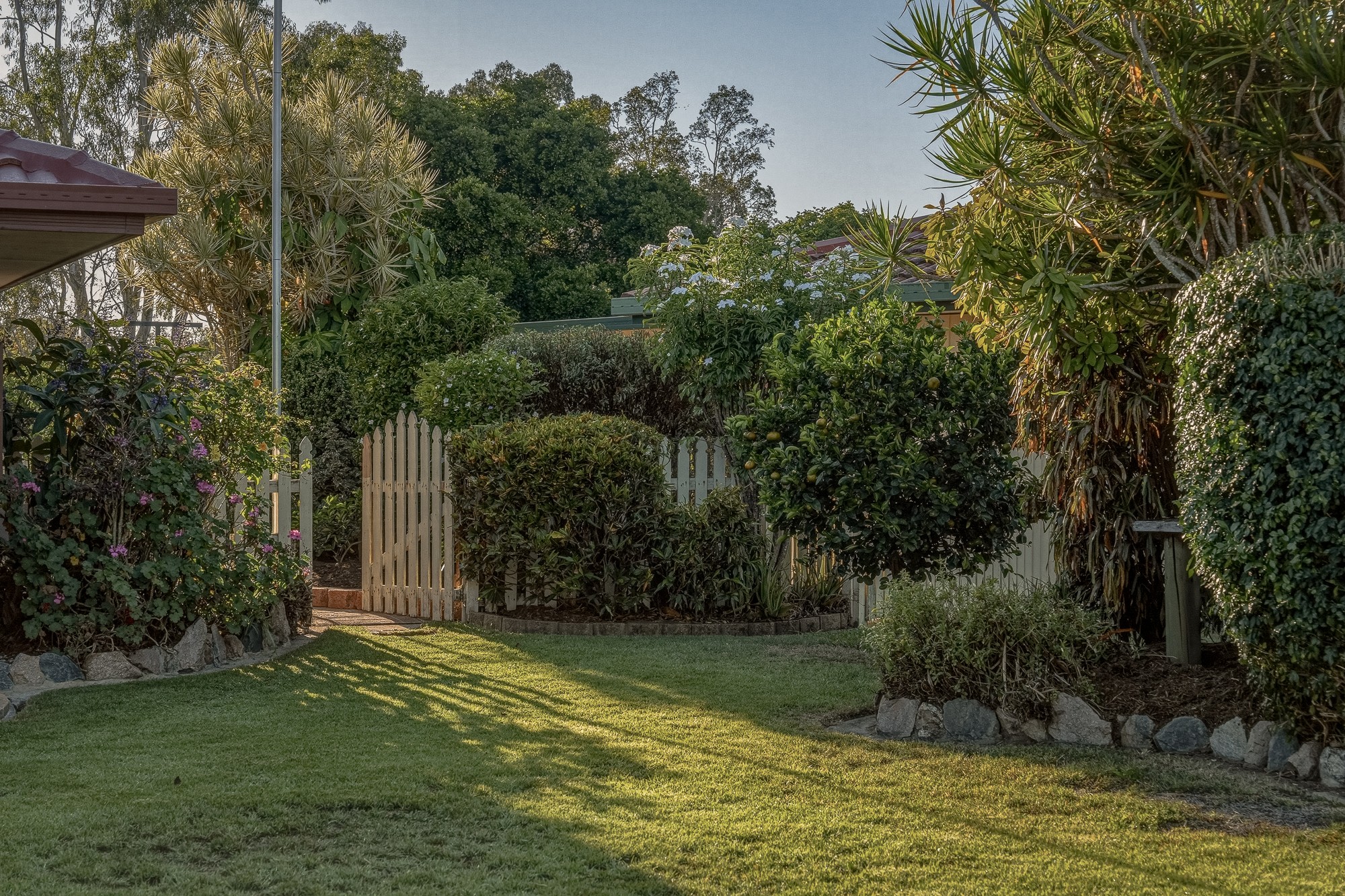 47 Arnica Crescent, Bald Hills, QLD 4036