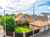 1 St Johns Avenue photo 32