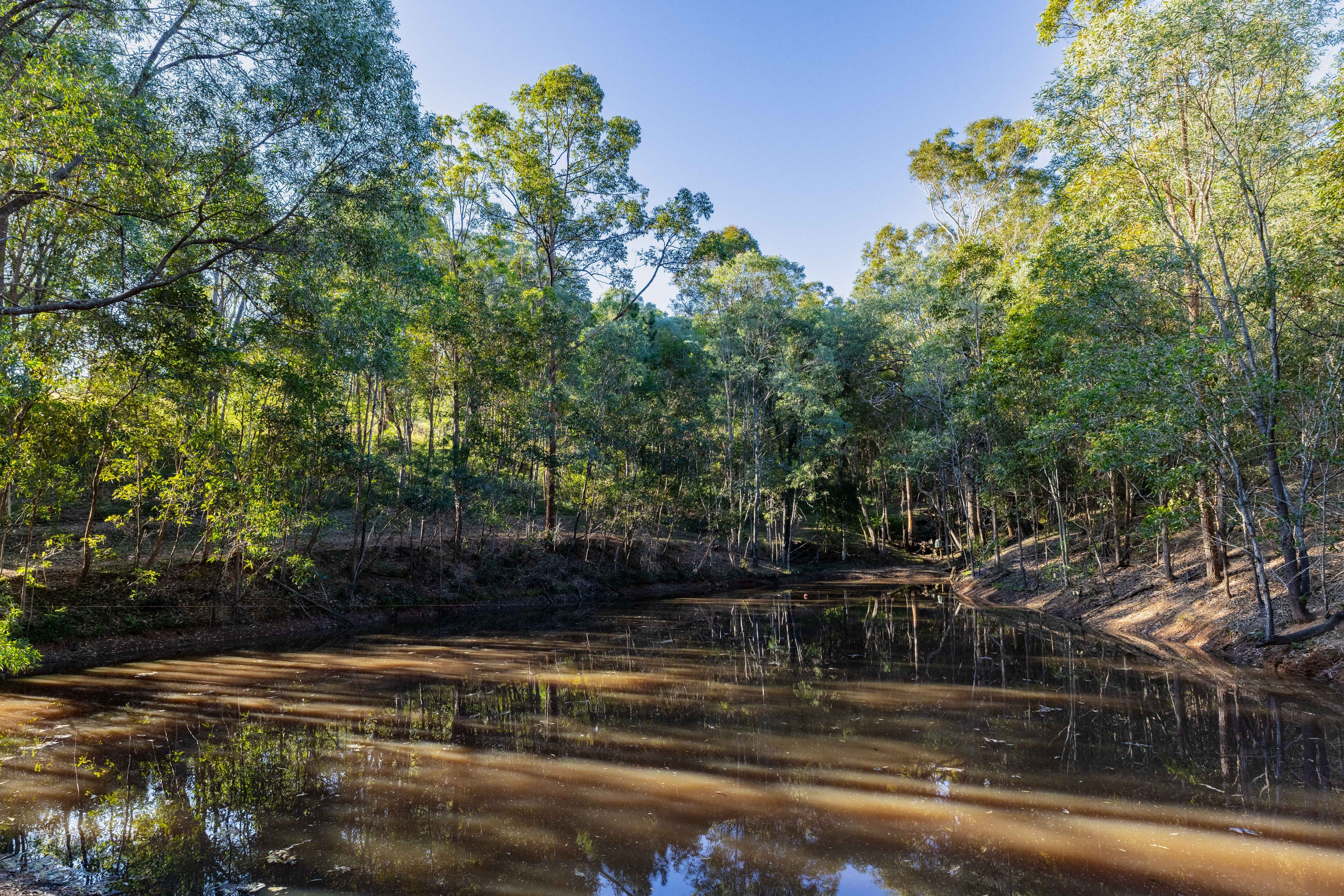 52 Ray Booker Court, Kobble Creek, QLD 4520