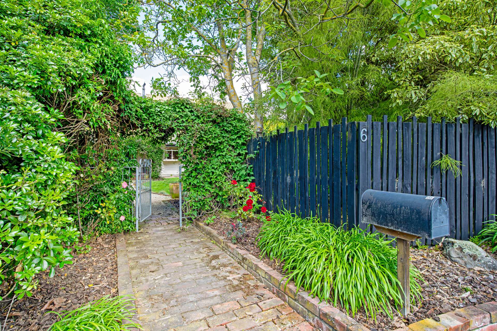 6 Avoca Place photo 38