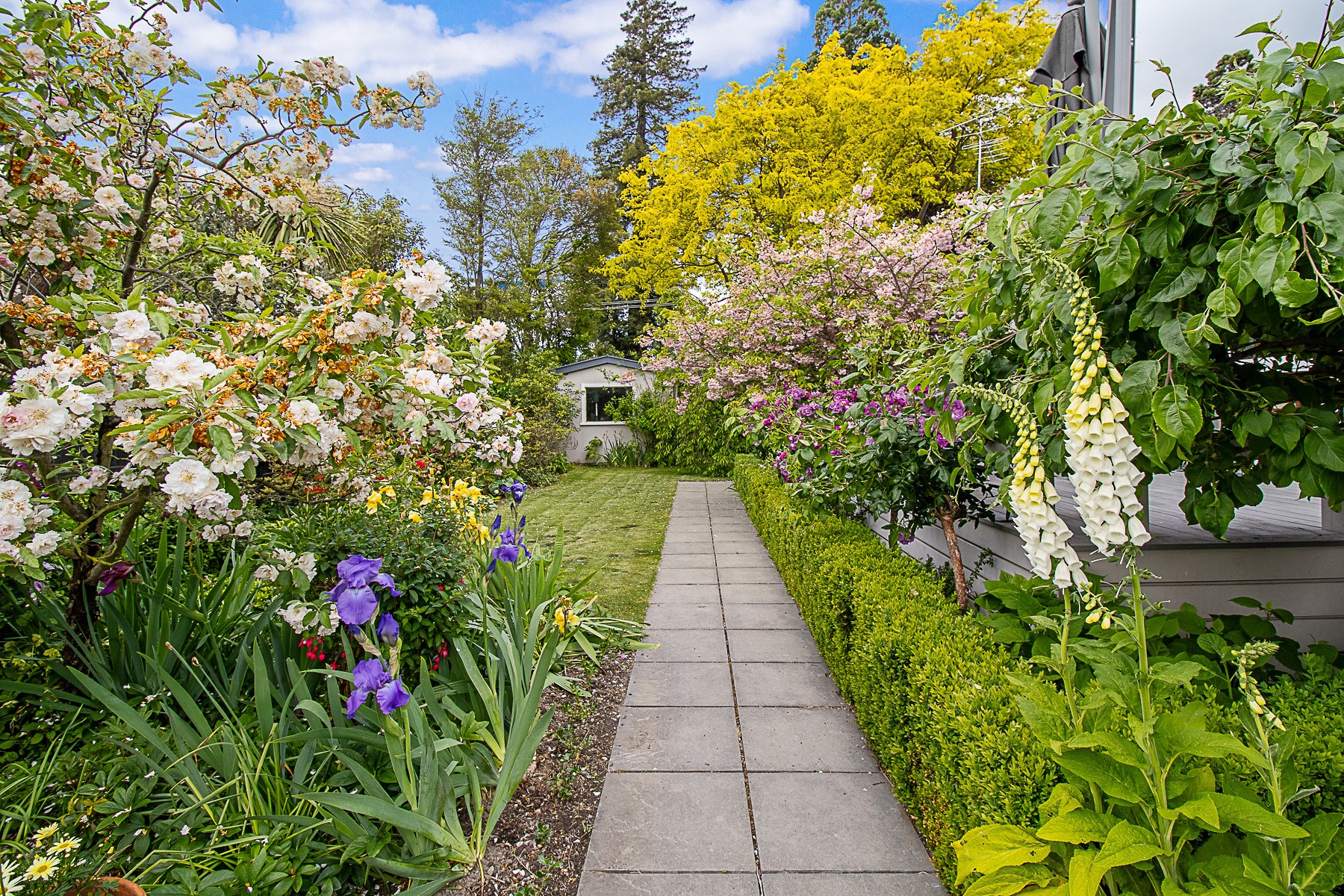 18 Purkiss Street, Springlands, Marlborough District
