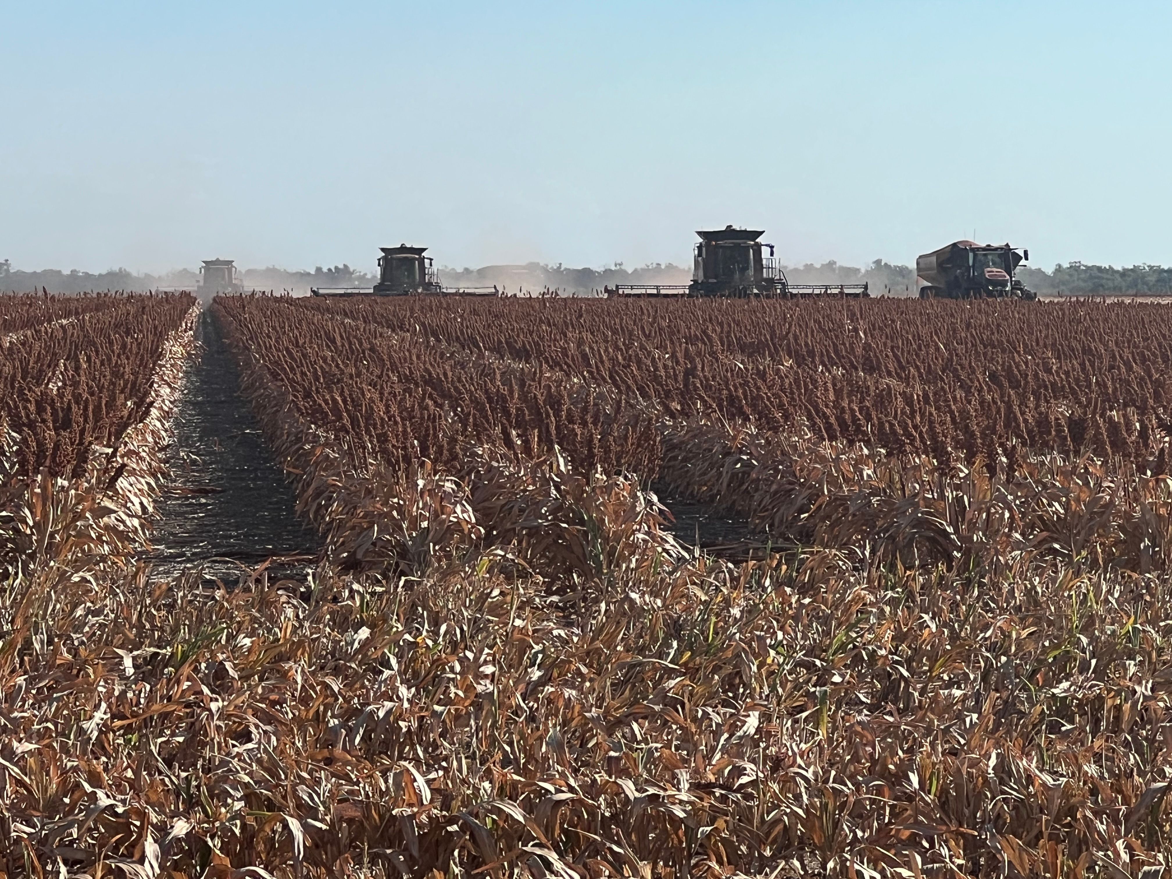 "Muldoon/& South Muldoon", MOREE, NSW 2400 Rural Cropping Property