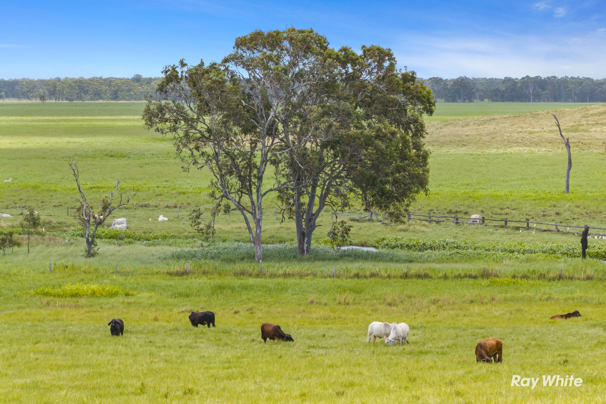0 Serpentine Road, Barmoya, QLD 4703