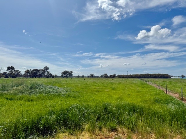 Lot 9 306 Whitehead Street, Corowa, NSW 2646