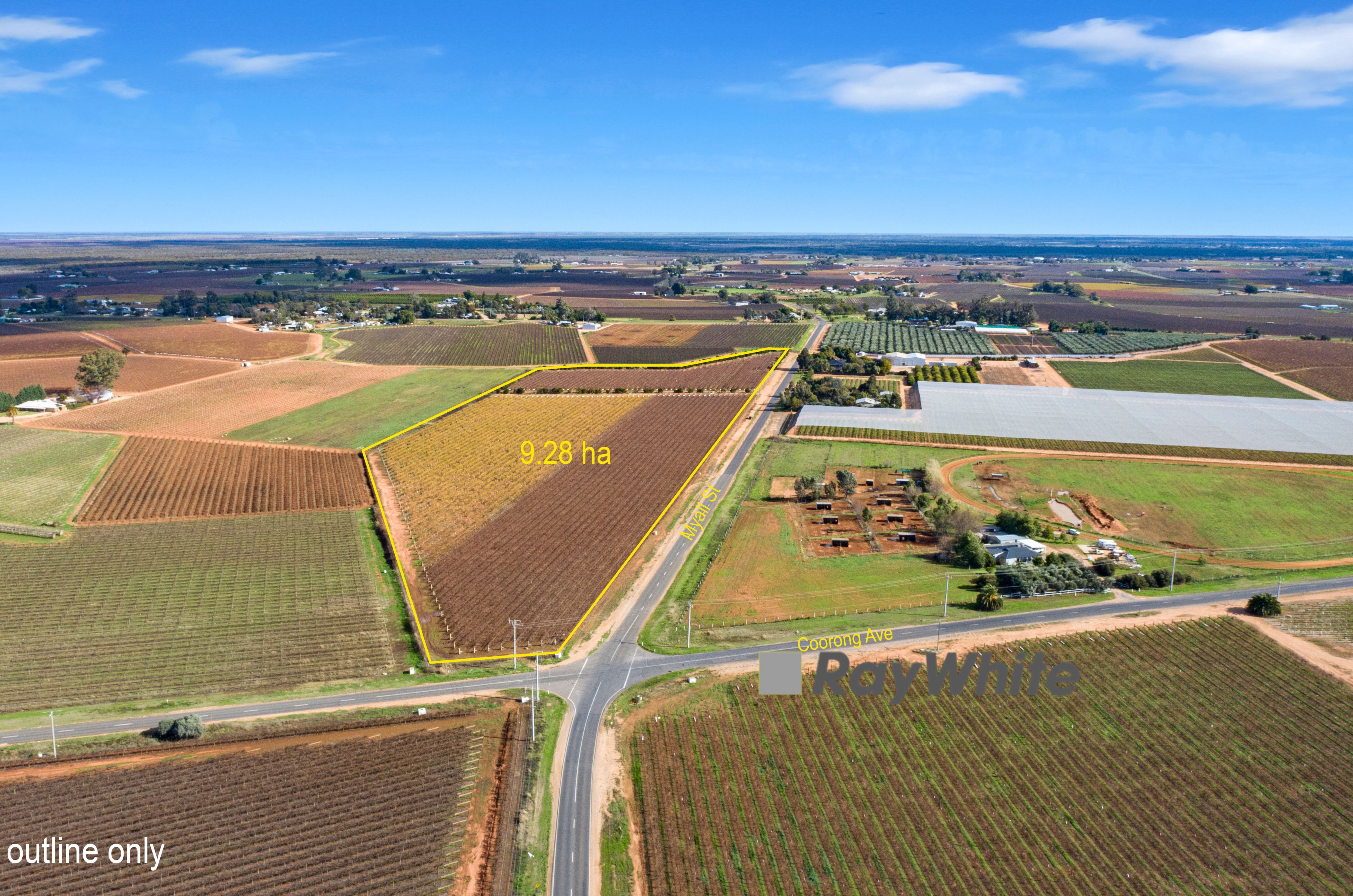 356 Myall Street, Red Cliffs, VIC 3496 Rural Horticulture Property