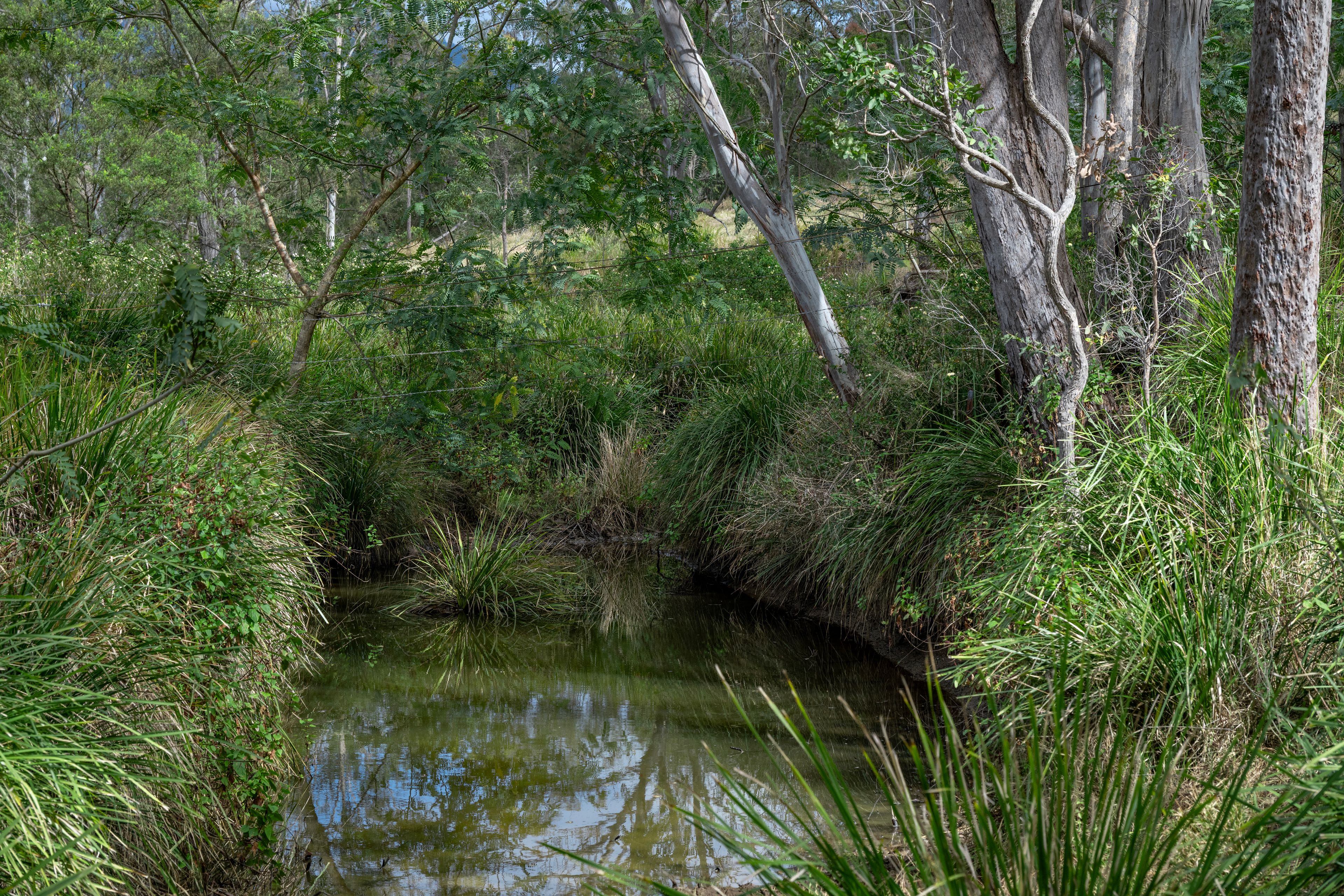 0 Cunningham Highway — photo 17 of 22