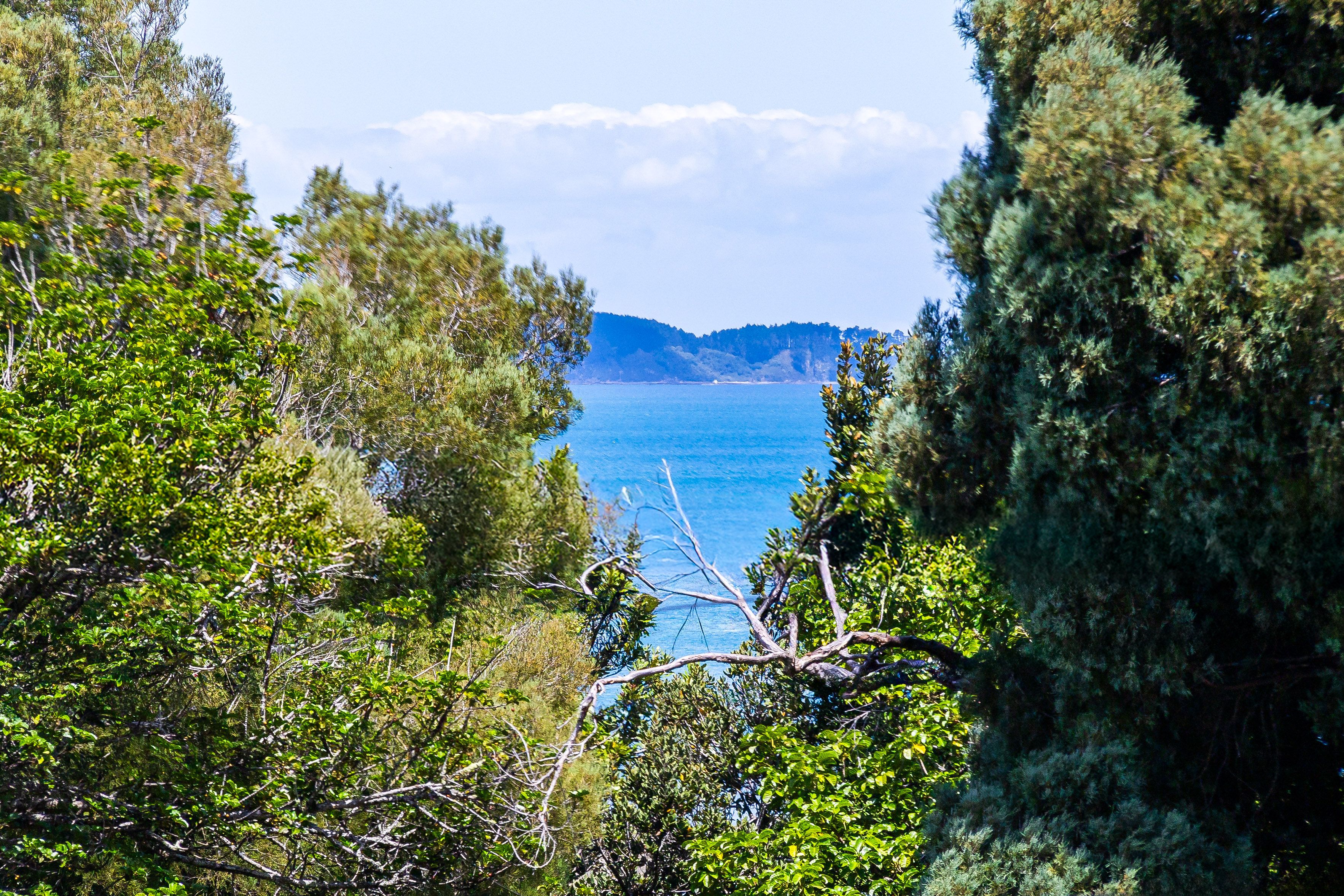 57 Clinton Road, Matakana, Rodney