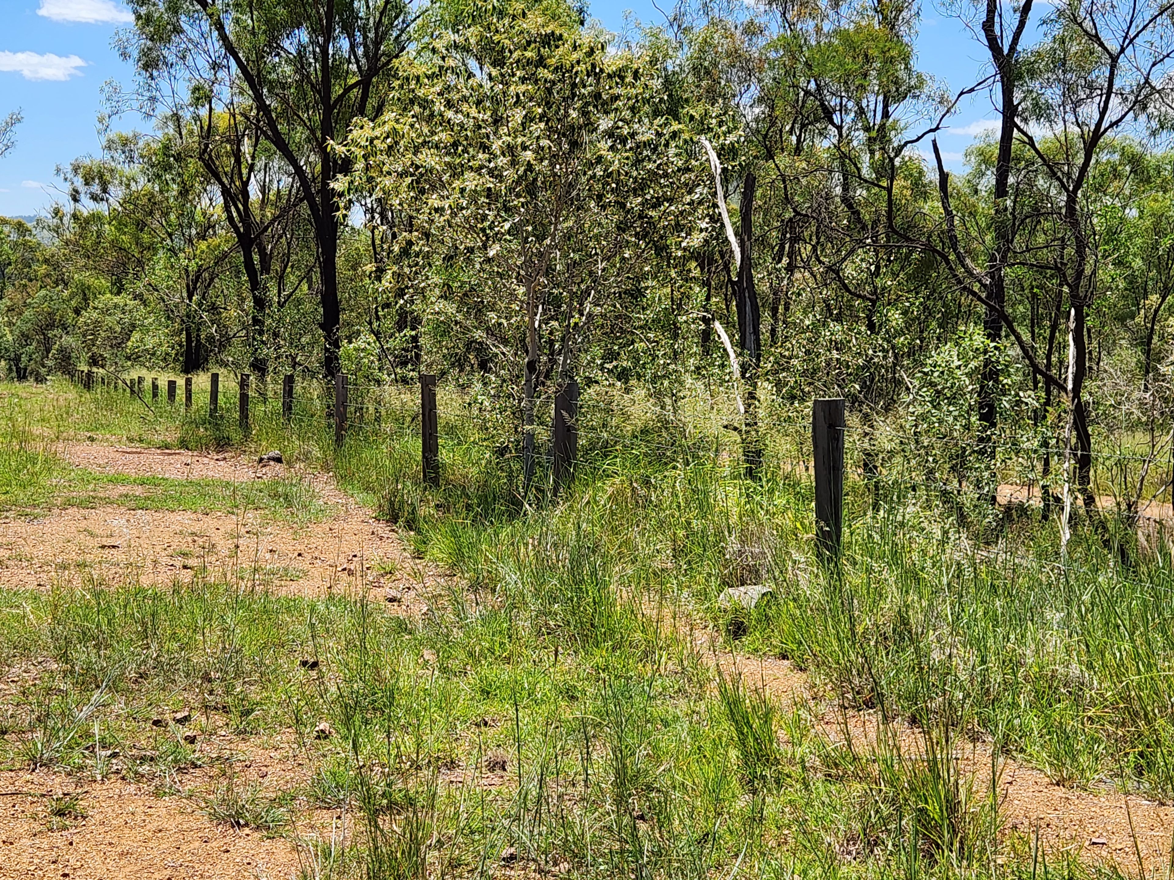 23 Hardings Lane, Glenrae, Mundubbera, QLD 4626 Rural Property for