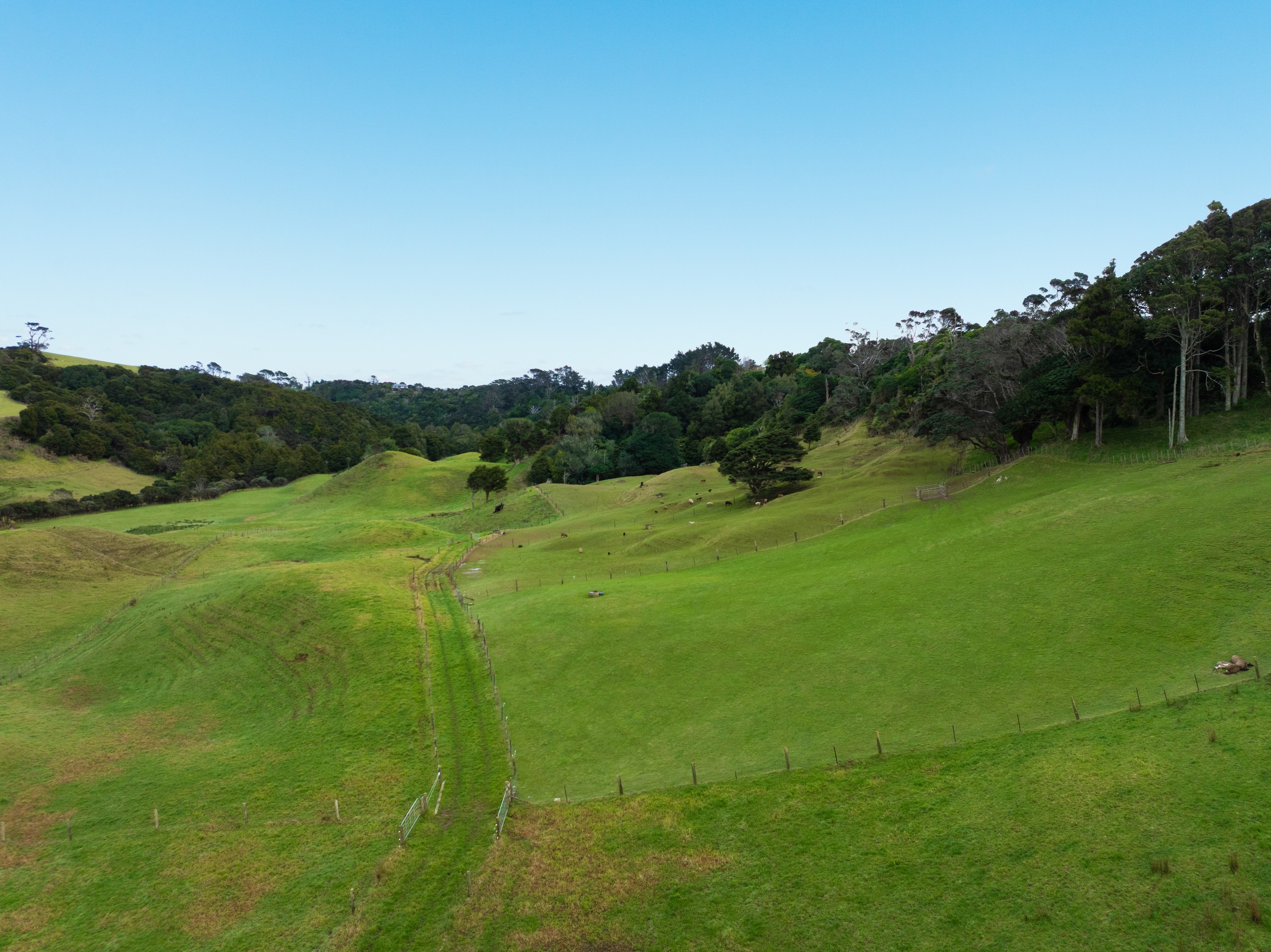 34 Cemetery Road, Pollok, Franklin