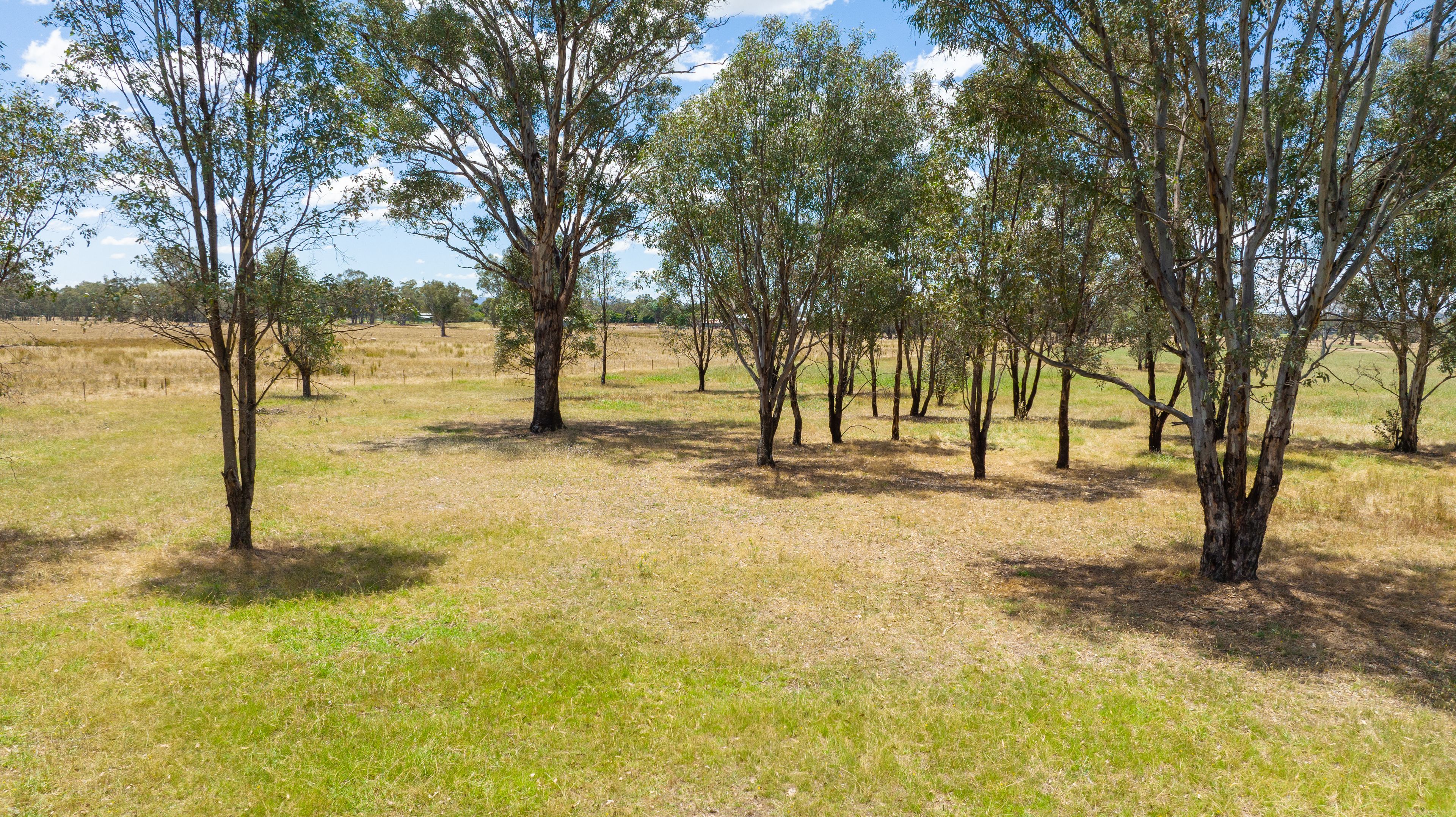 Lot 4 81 Bungowannah Road, Jindera, NSW 2642 Land for Sale Ray