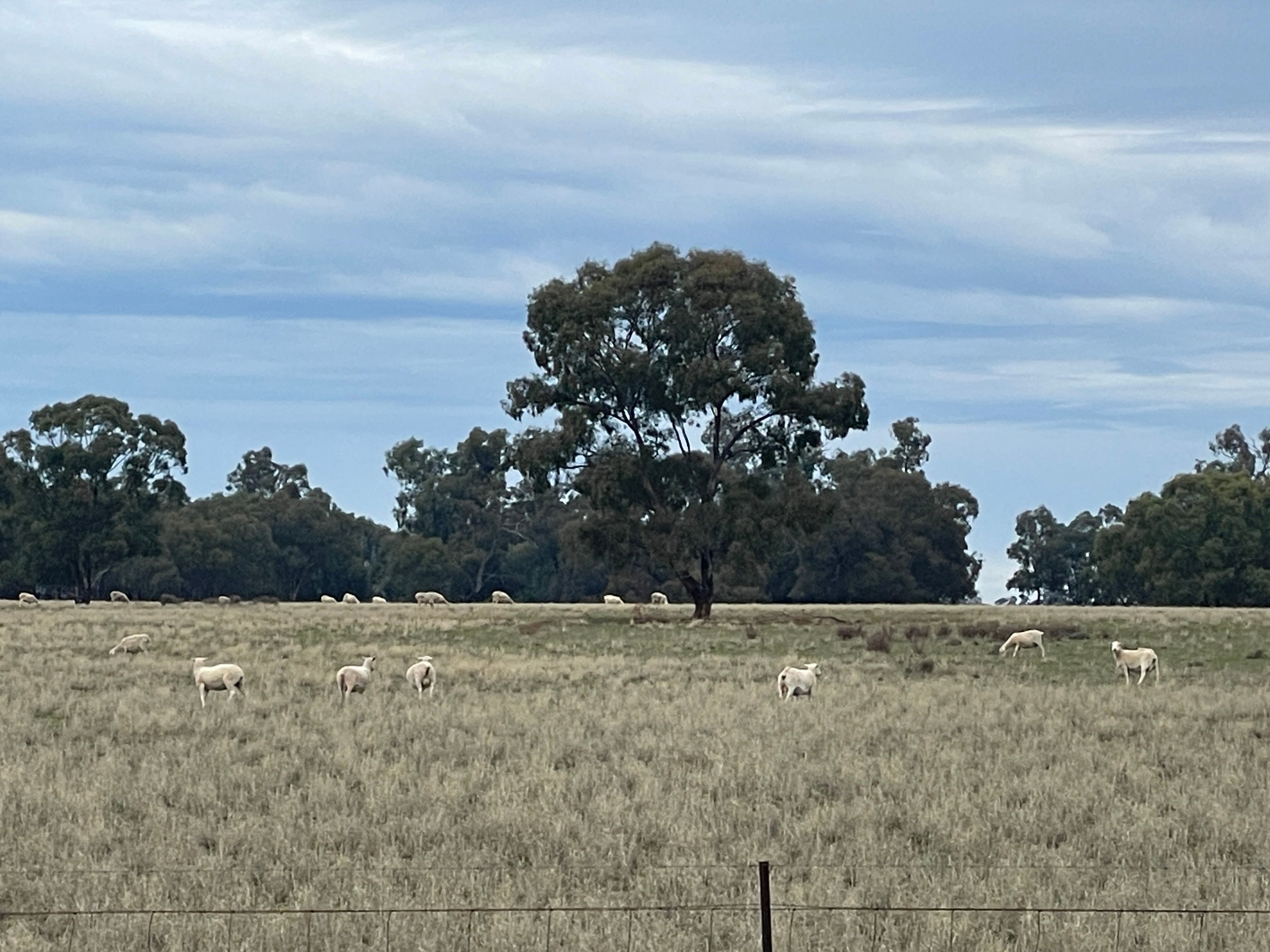 'East Gathan' 509 Gathan Road, Deniliquin, NSW 2710