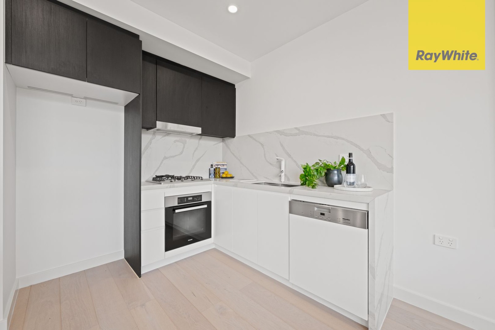 103/123 Bowden Street, Meadowbank, NSW 2114