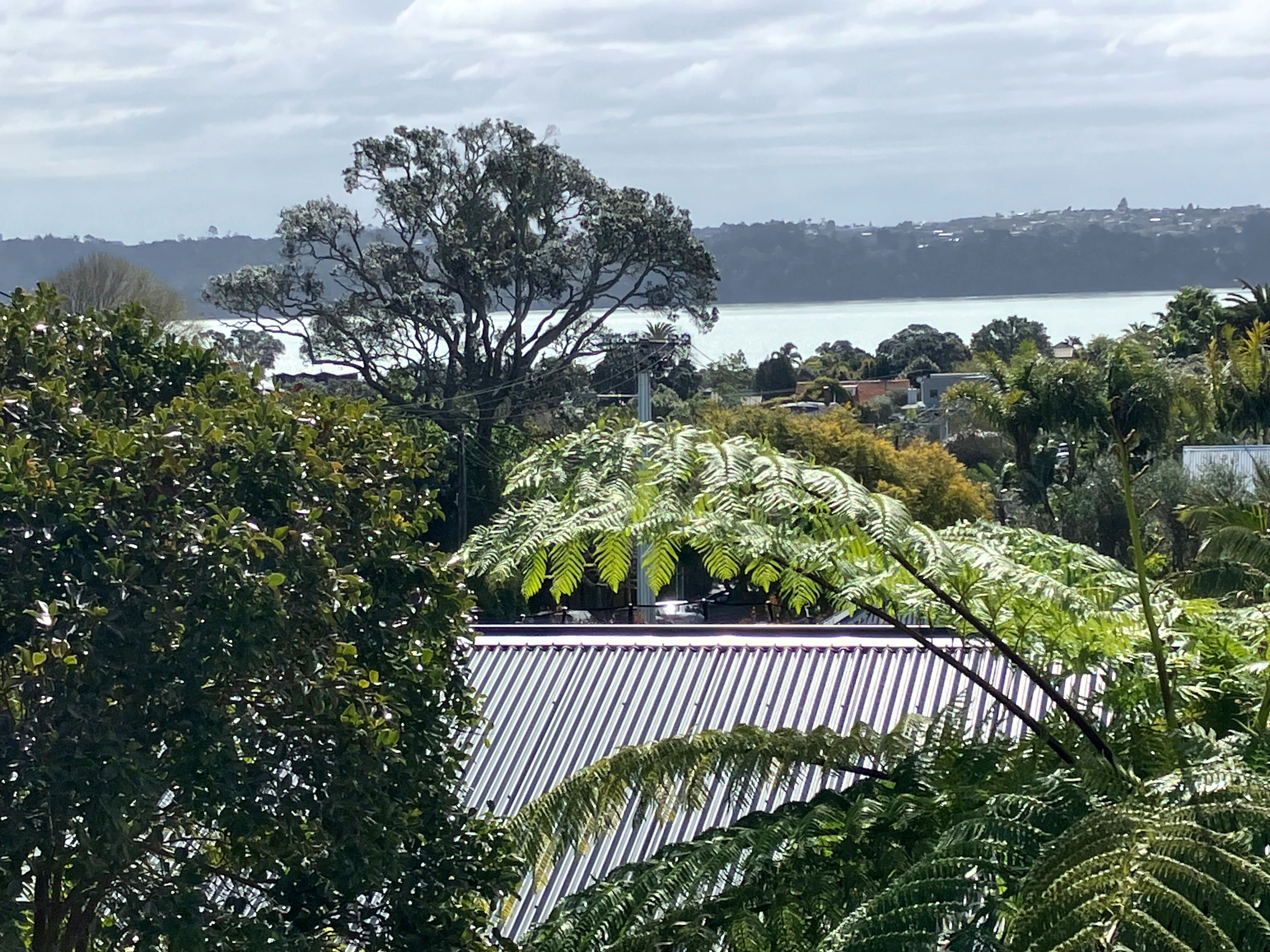 1/9 Clifton Road, Herne Bay, Auckland City