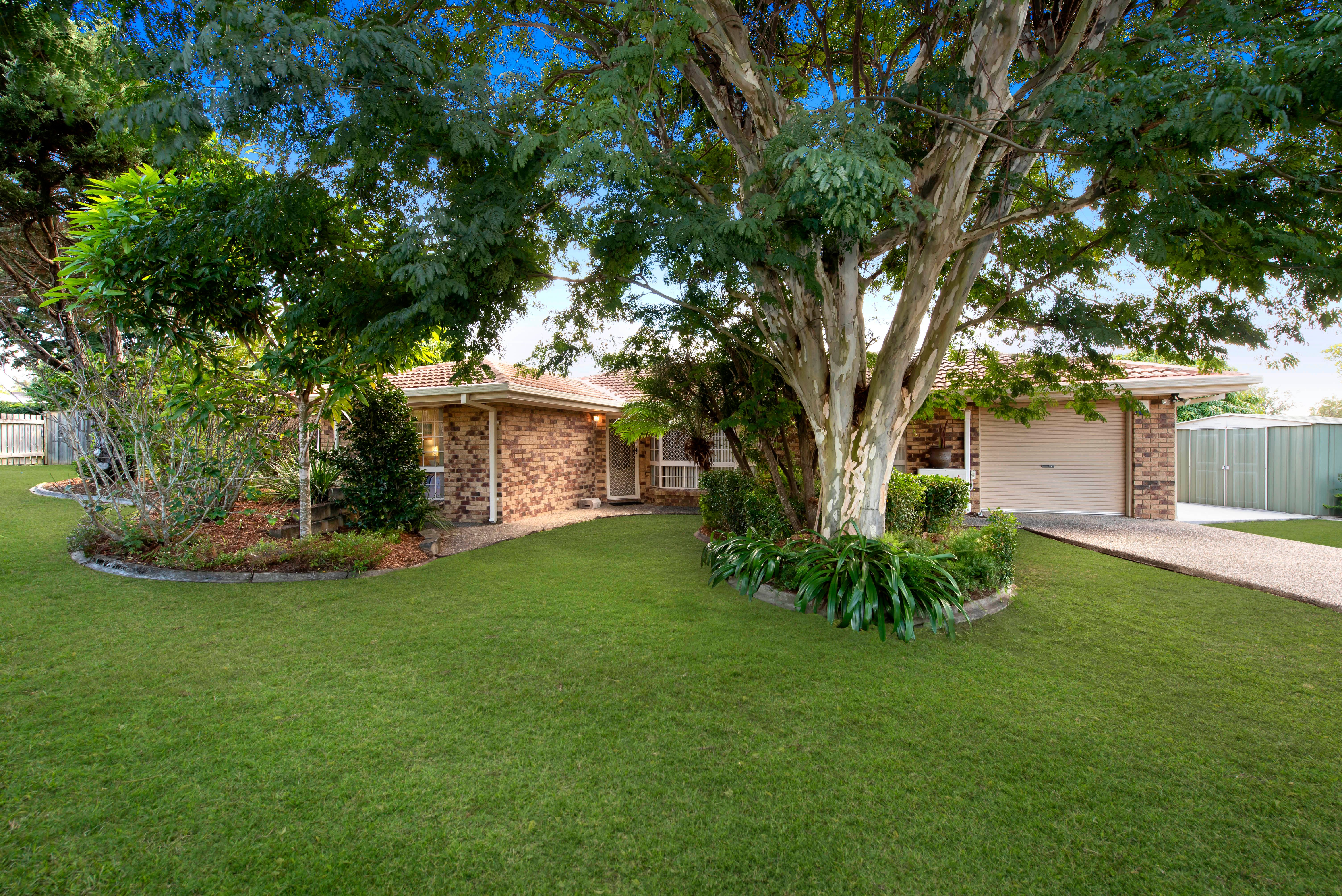3 Warren Court, Loganlea QLD 4131