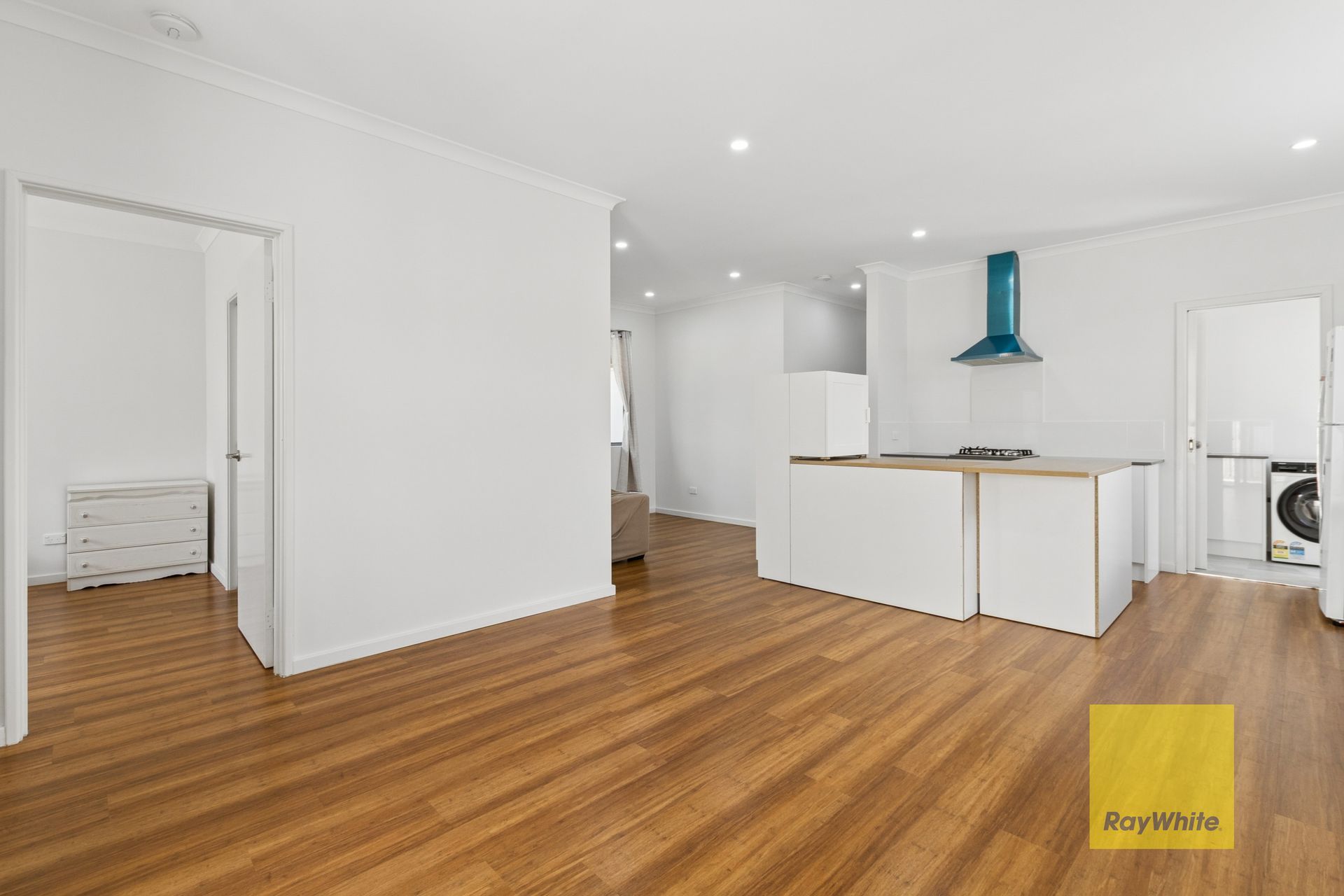 14A Wellaton Street — photo 13 of 18