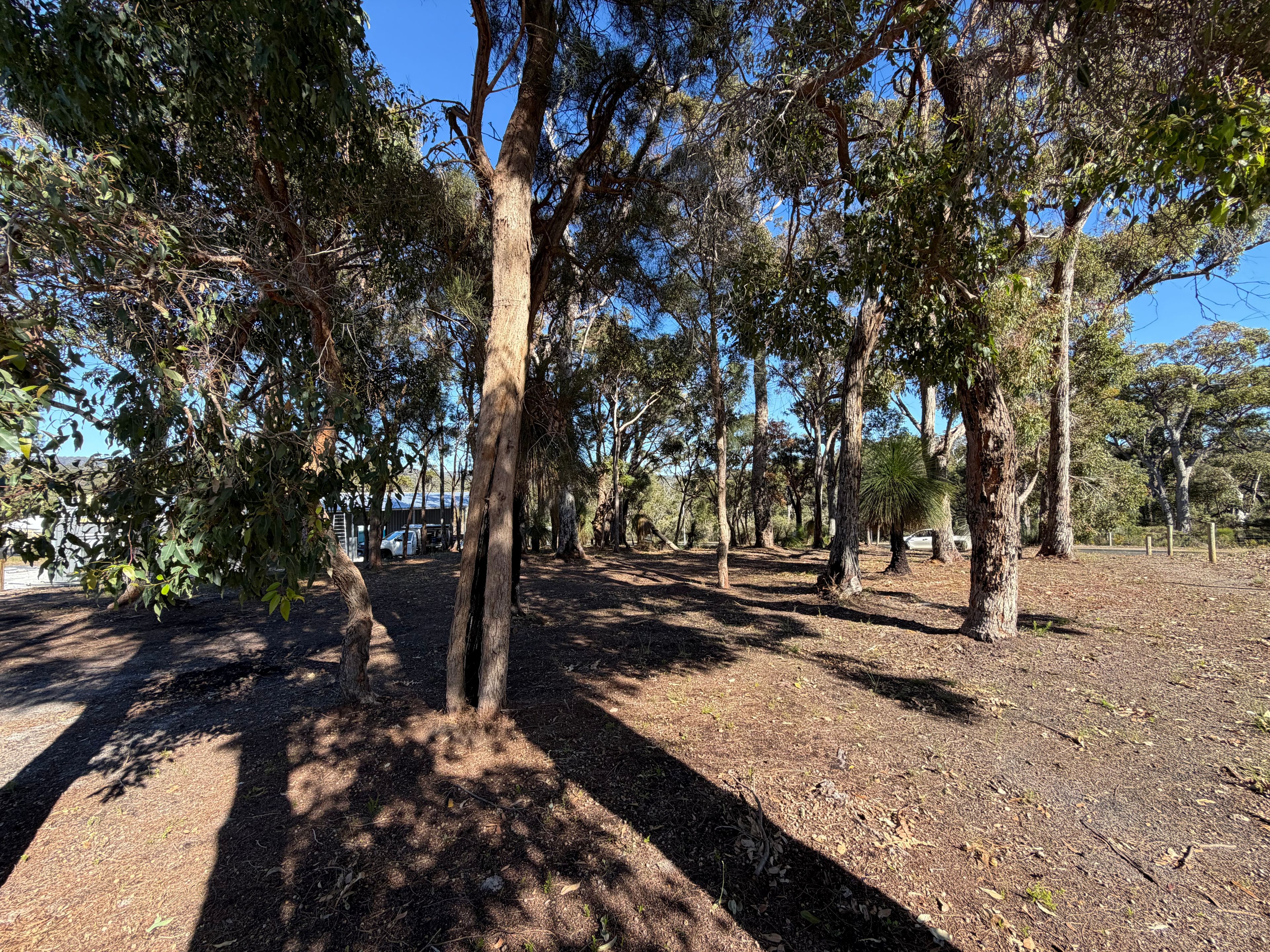 20 McCallum Way — photo 3 of 4