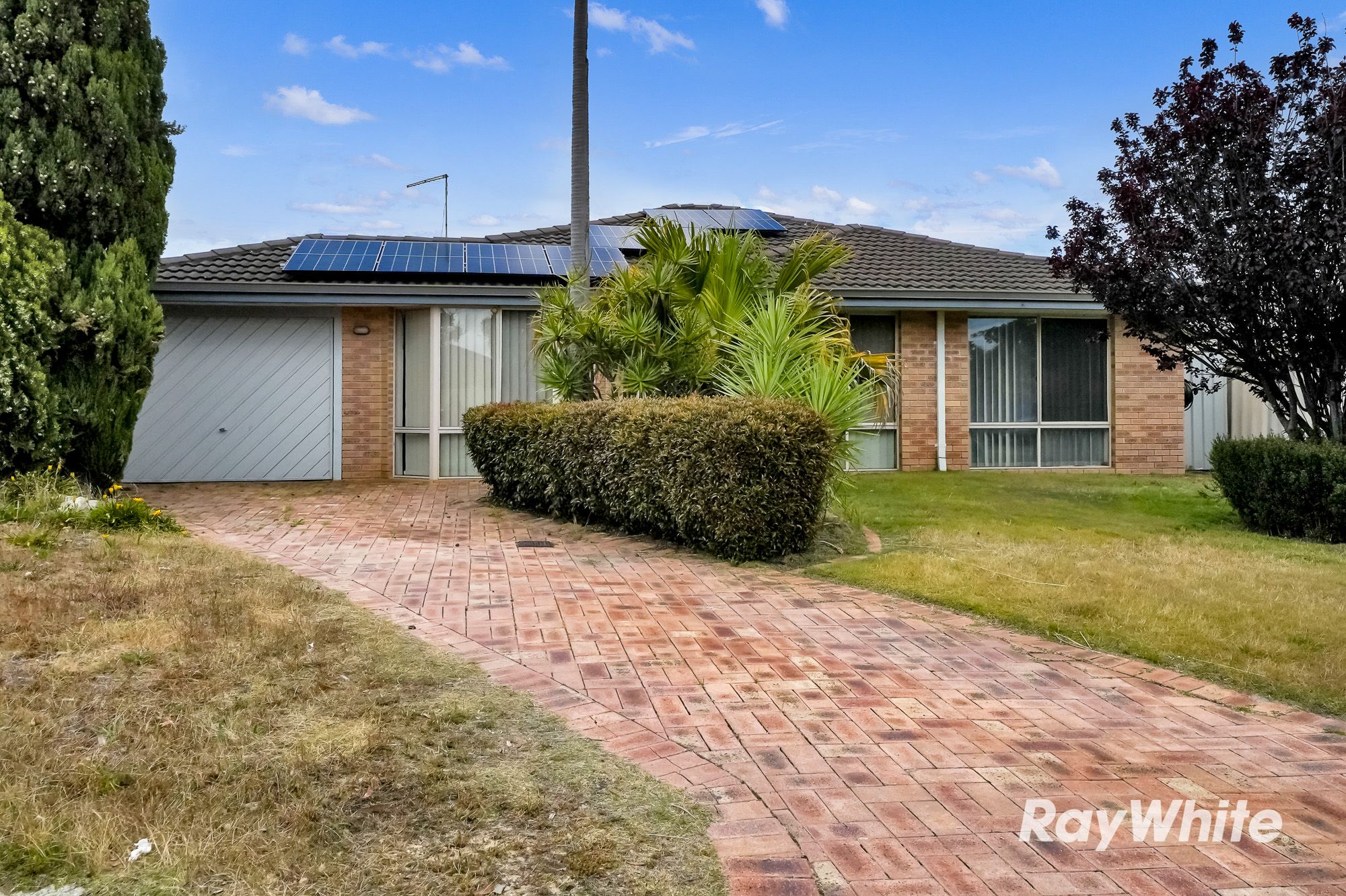 14 Boab Court — photo 3 of 27