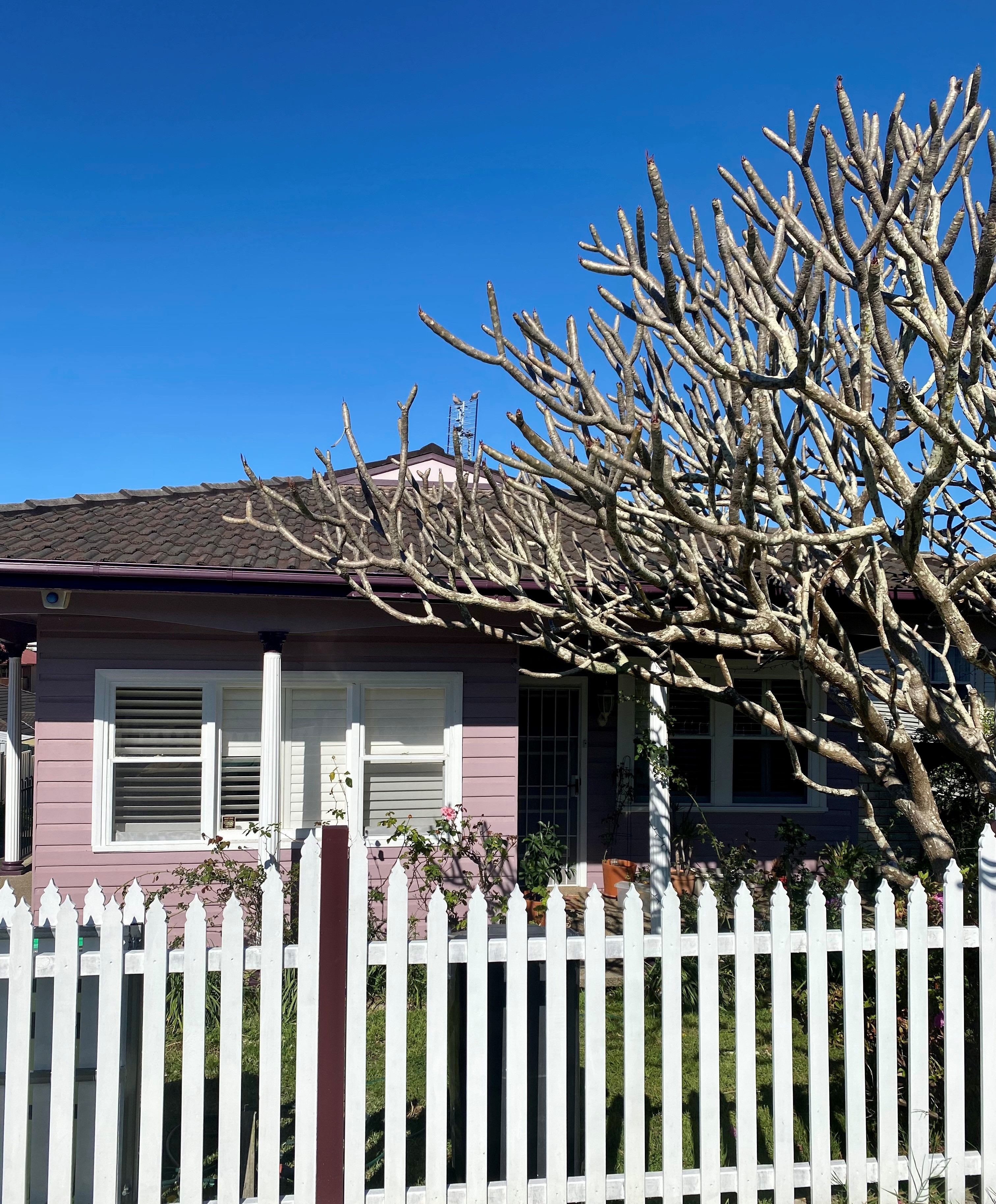 18 Prince Street, Fennell Bay, NSW 2283
