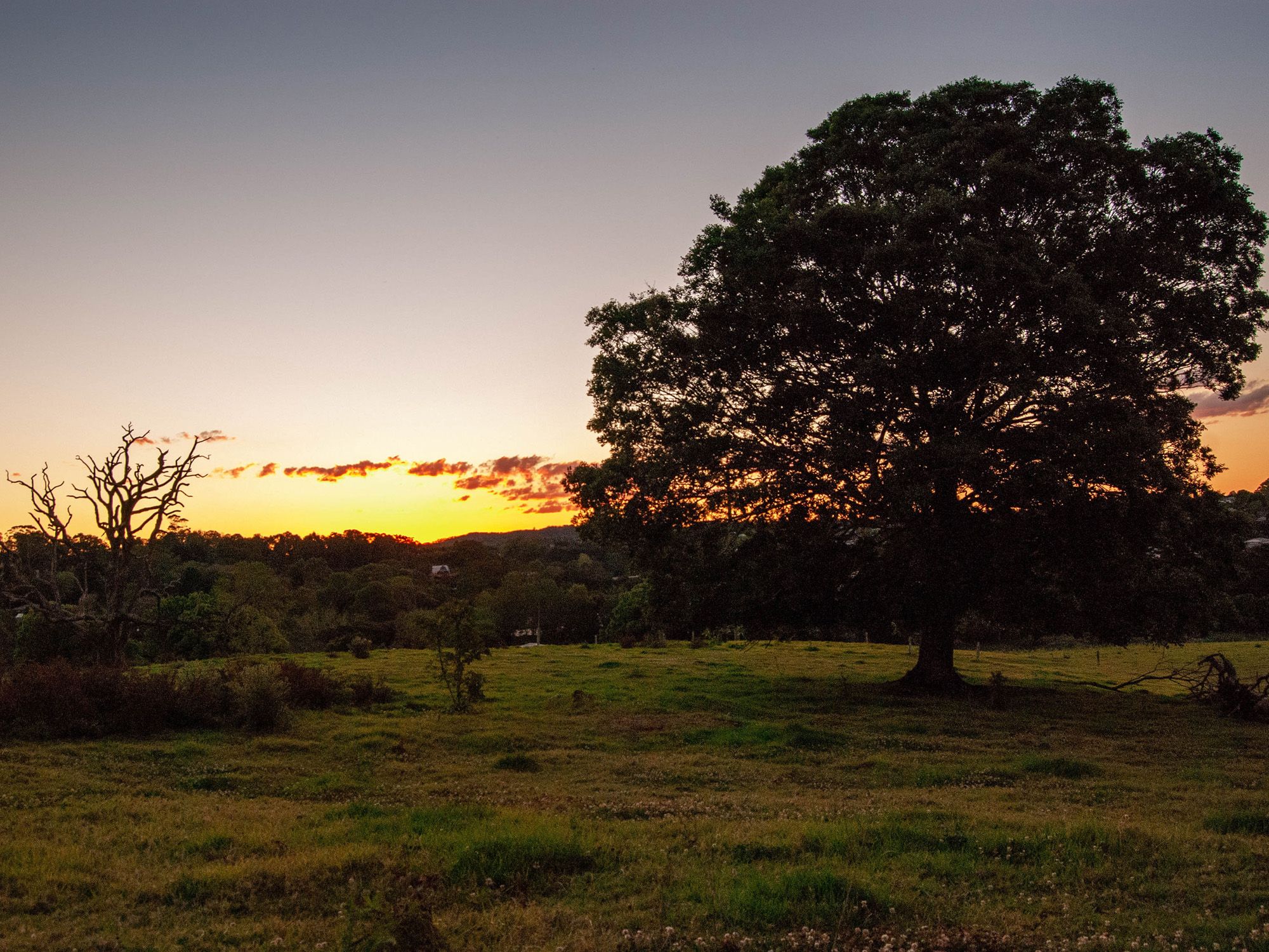The Enclave, Maleny, QLD 4552 Land for Sale Ray White Maleny