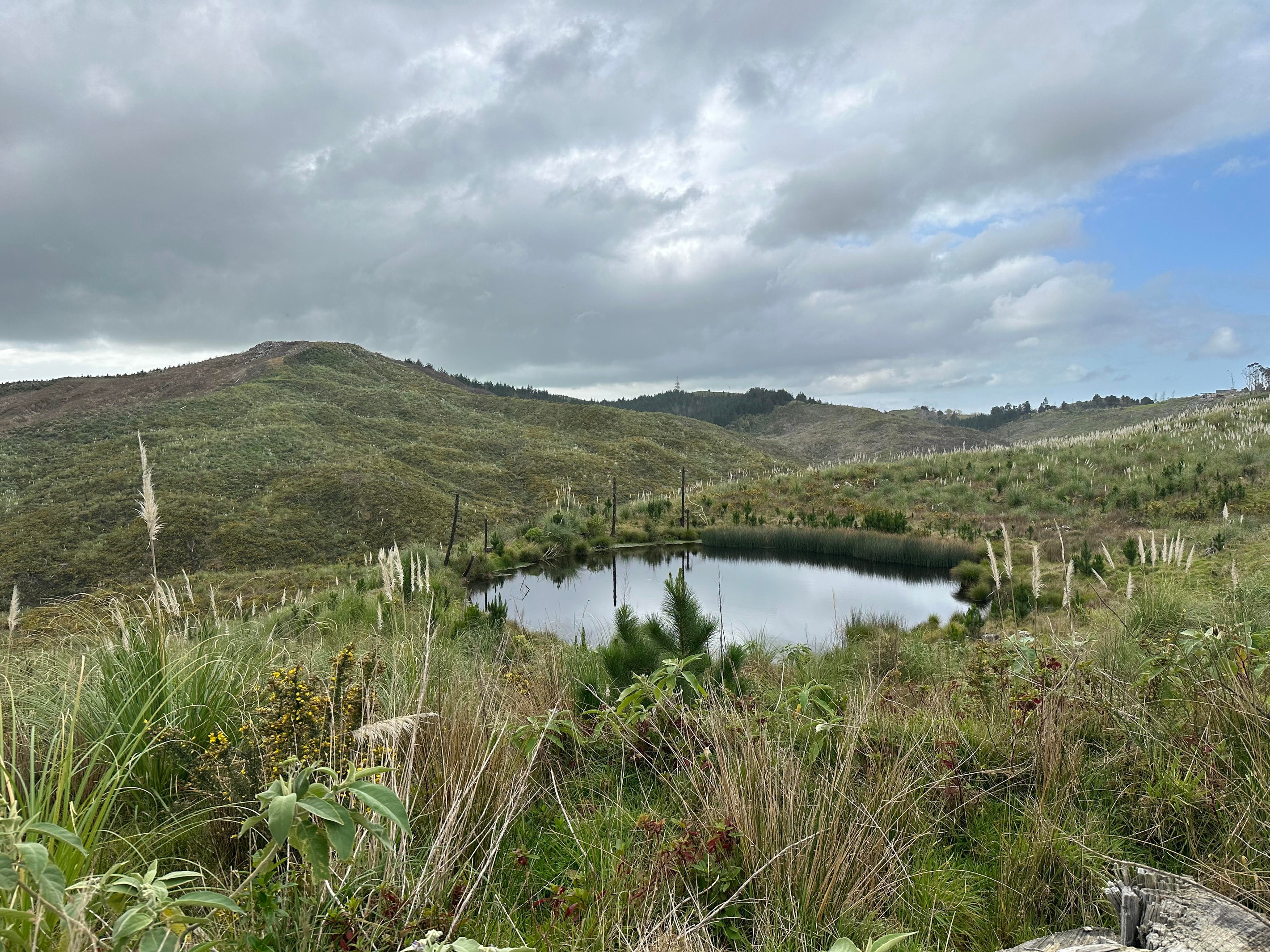 Lot 13/872 Bickerstaffe Road, Maungaturoto, Kaipara District