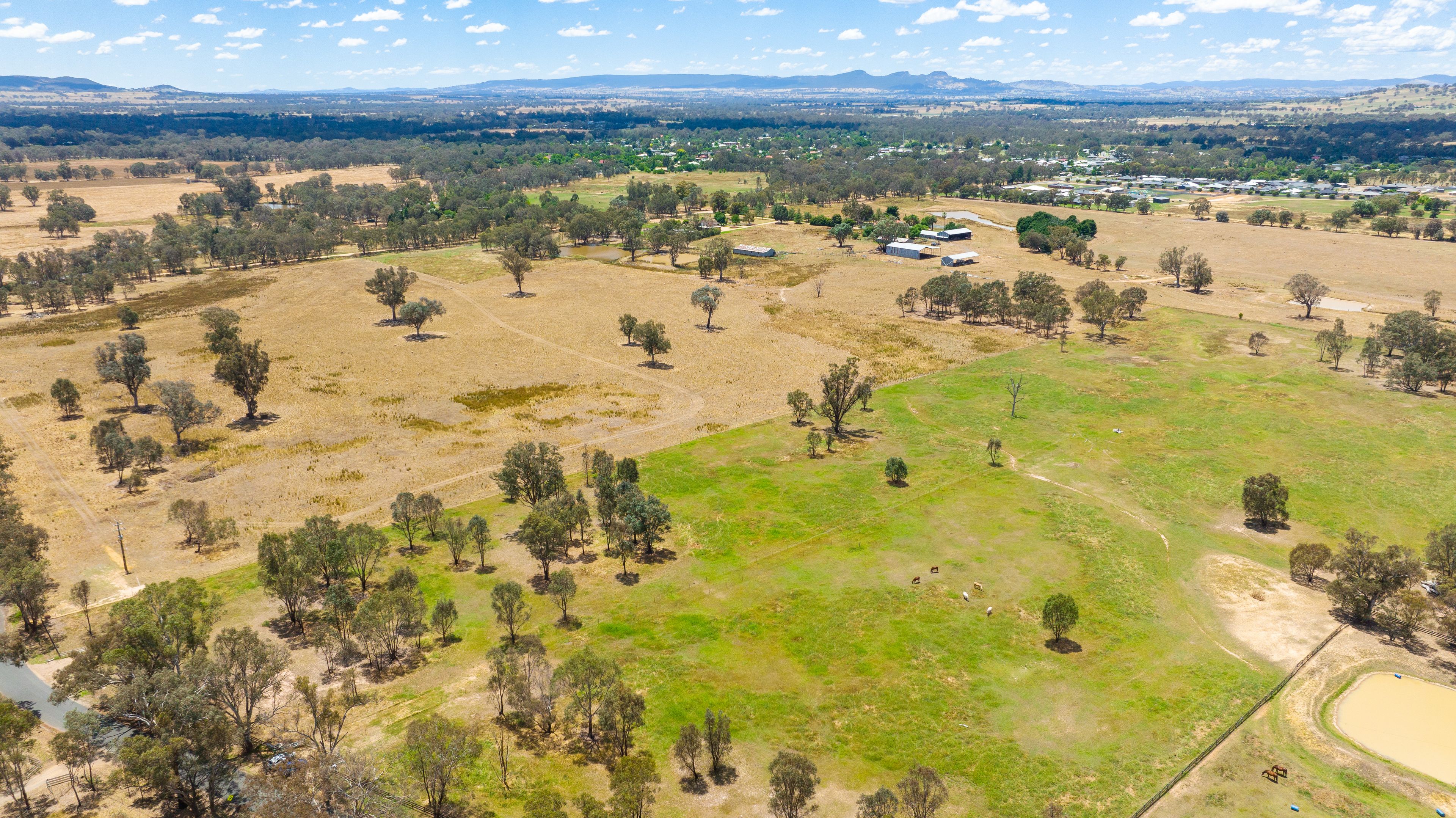Lot 4 81 Bungowannah Road, Jindera, NSW 2642 Land for Sale Ray