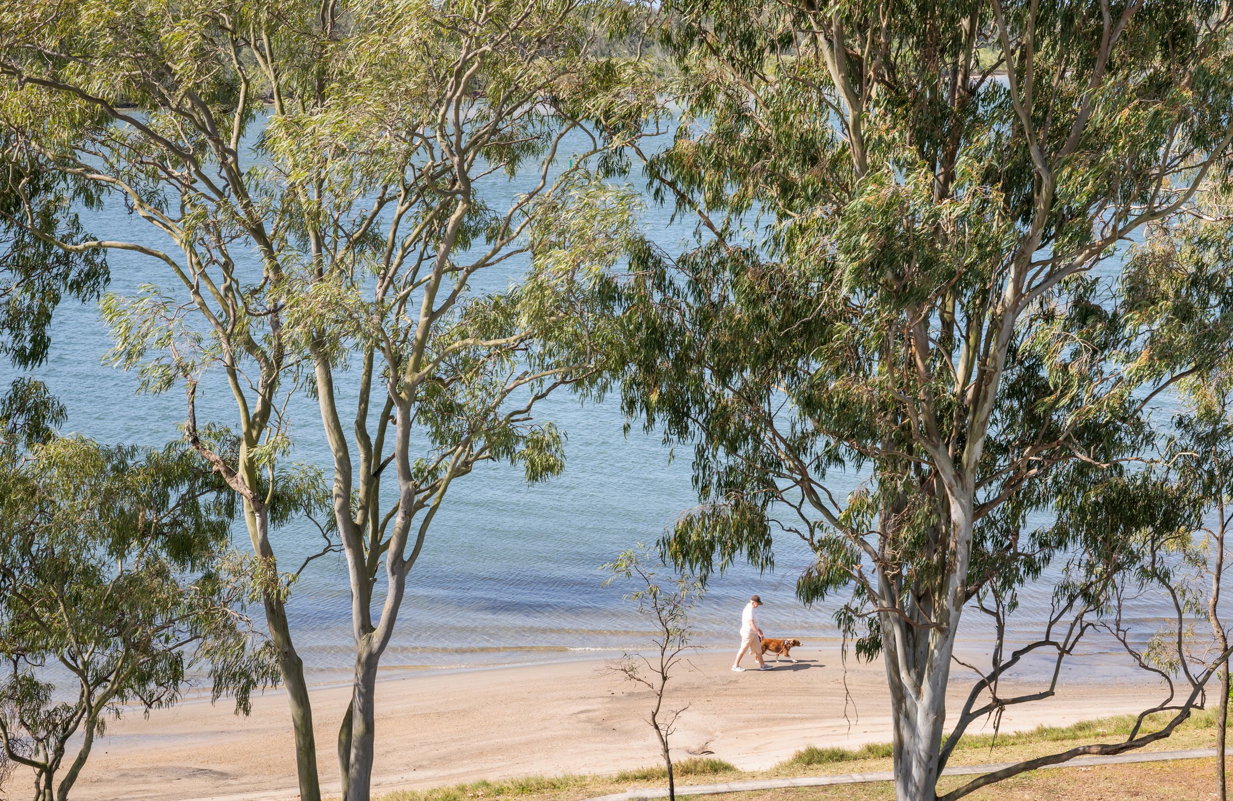 12/131-135 Bradman Avenue — photo 13 of 16
