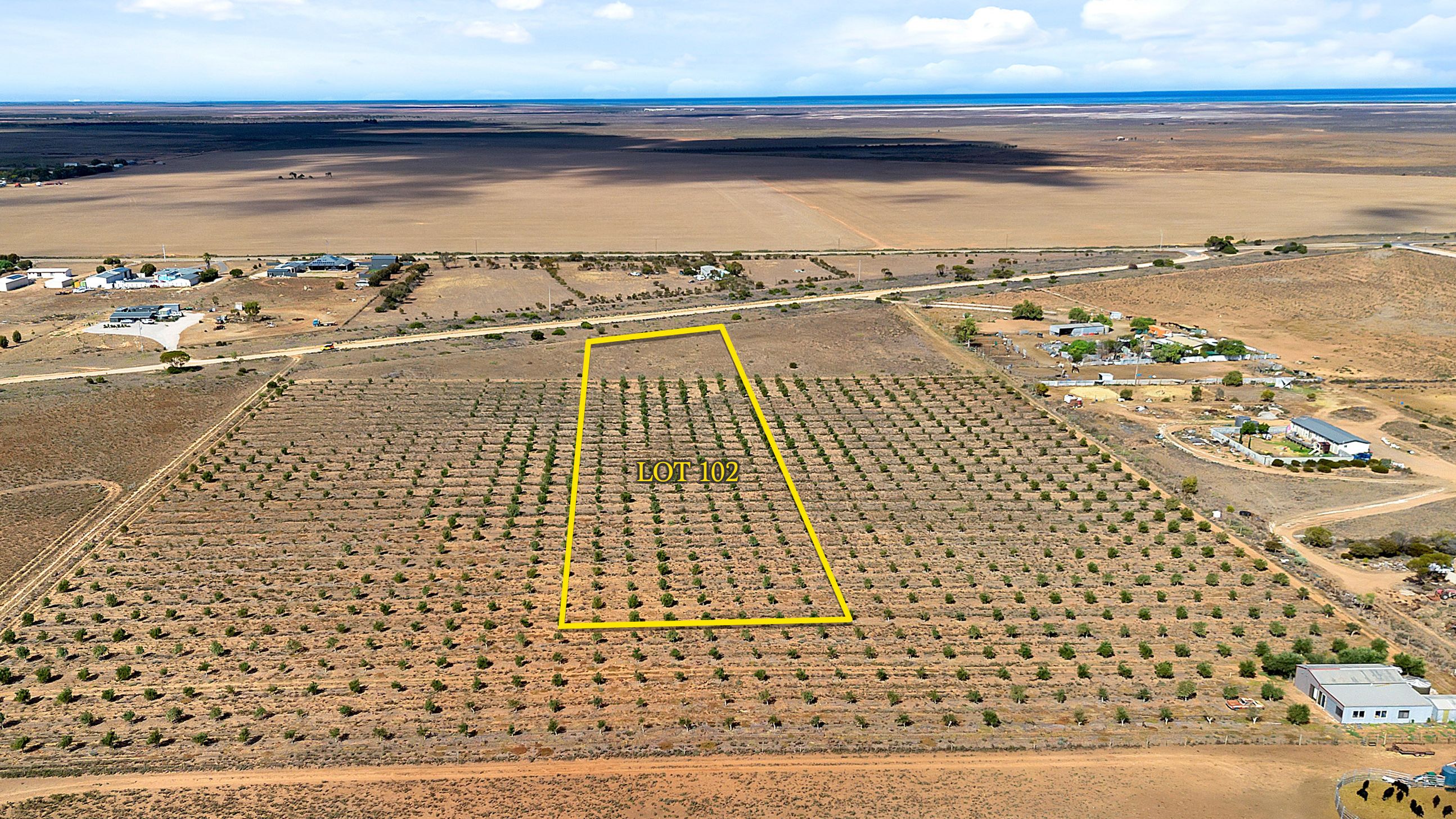 Lot 102 Schutt Road, Dublin, SA 5501