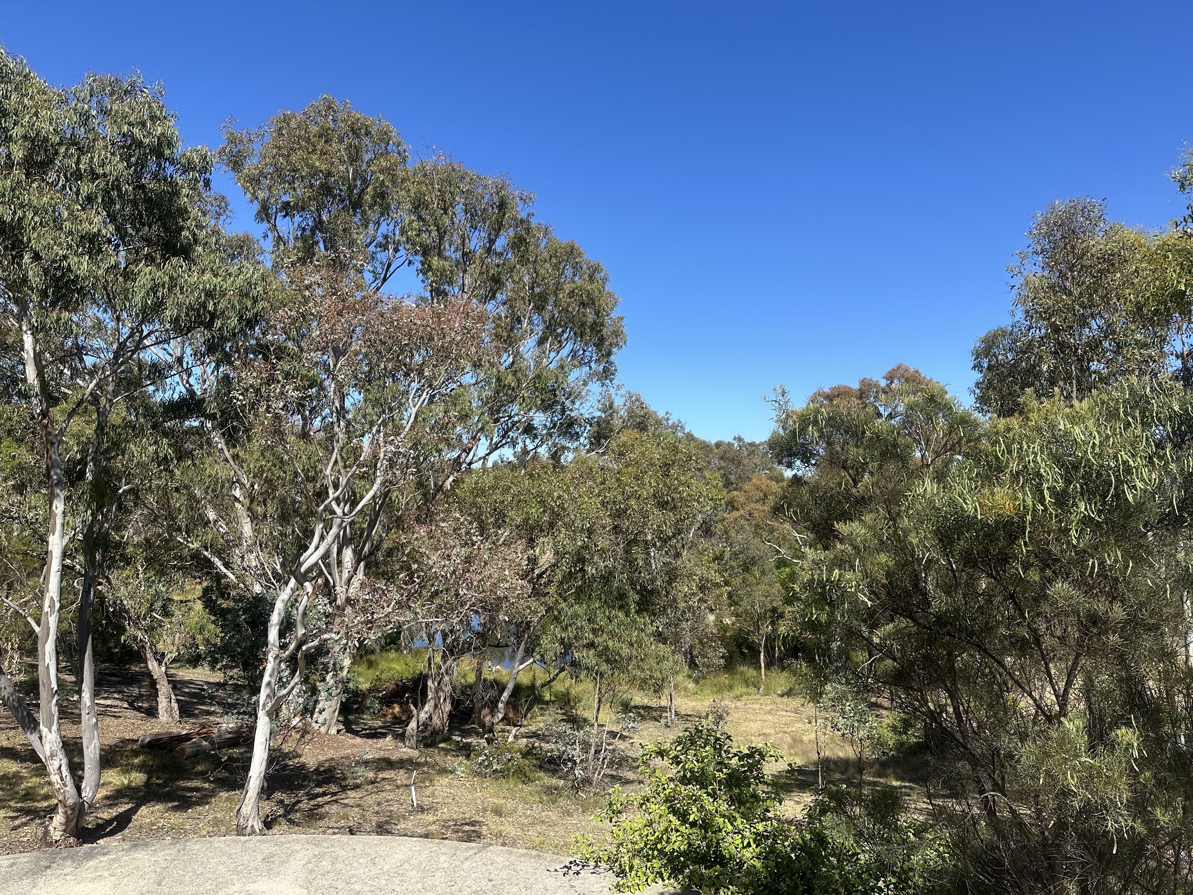 16/202 Goolabri Drive — photo 4 of 4