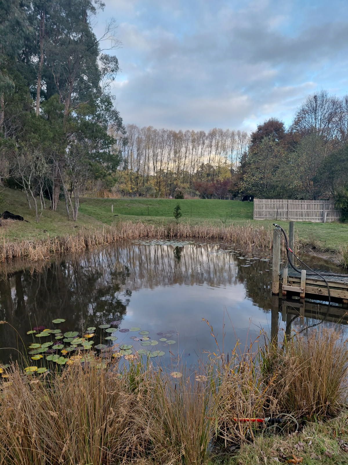 9 Cameron Close — photo 9 of 9