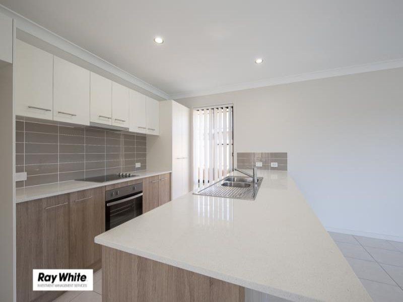 19 Avondale Drive, Pimpama, QLD 4209