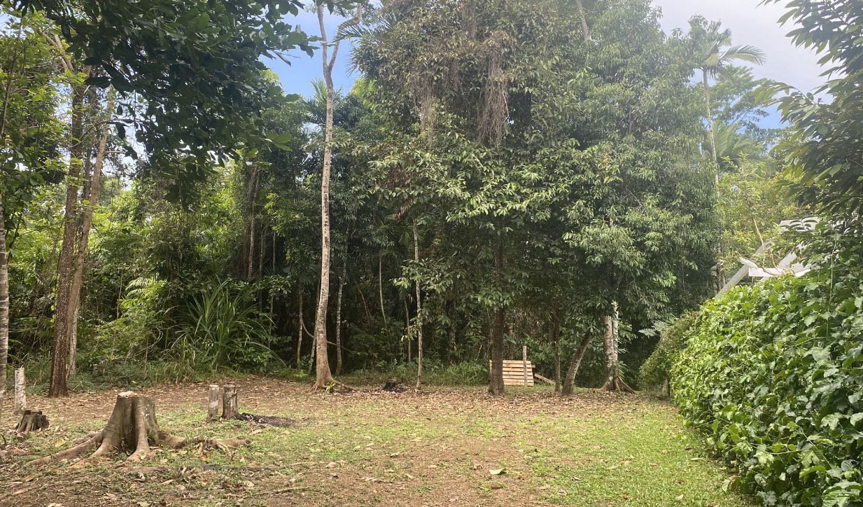 73 Cutten Street, Bingil Bay, QLD 4852 Sold Land Ray White Mission