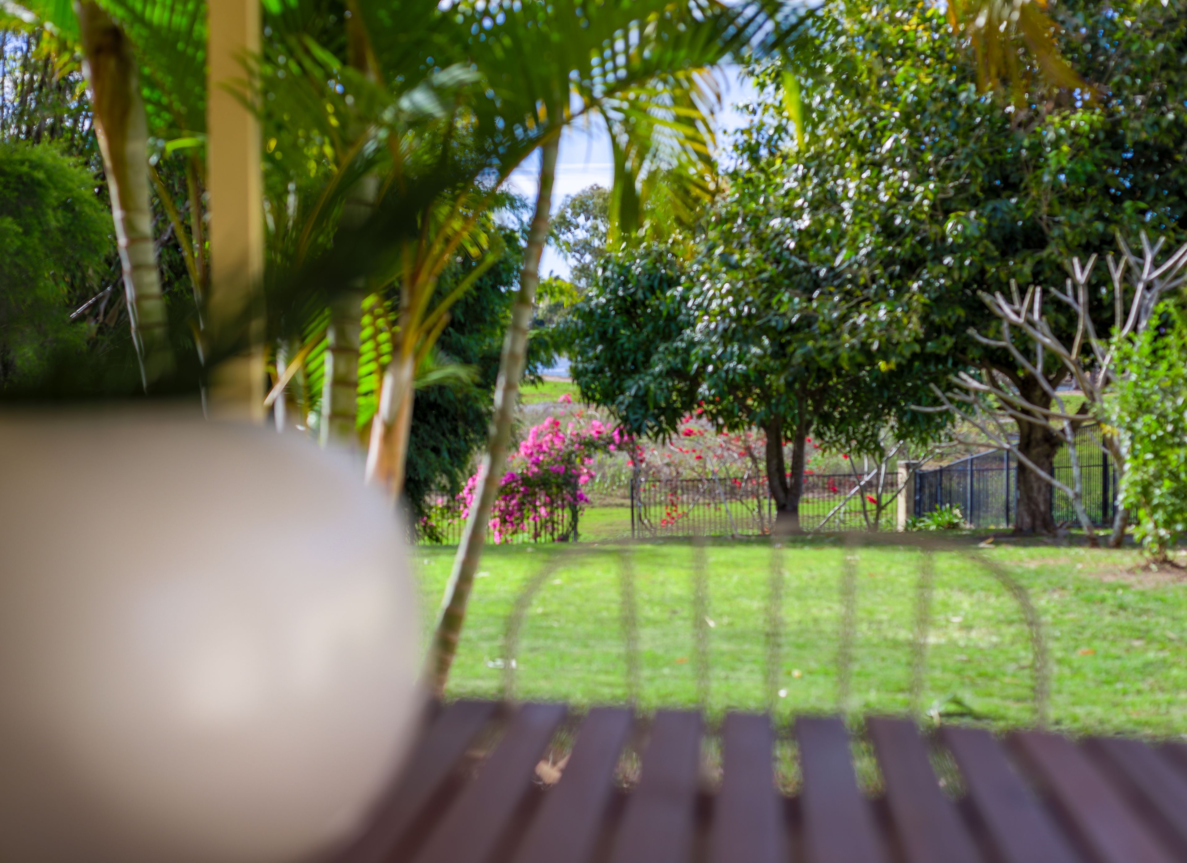 24 Woody Views Way, Robina, QLD 4226