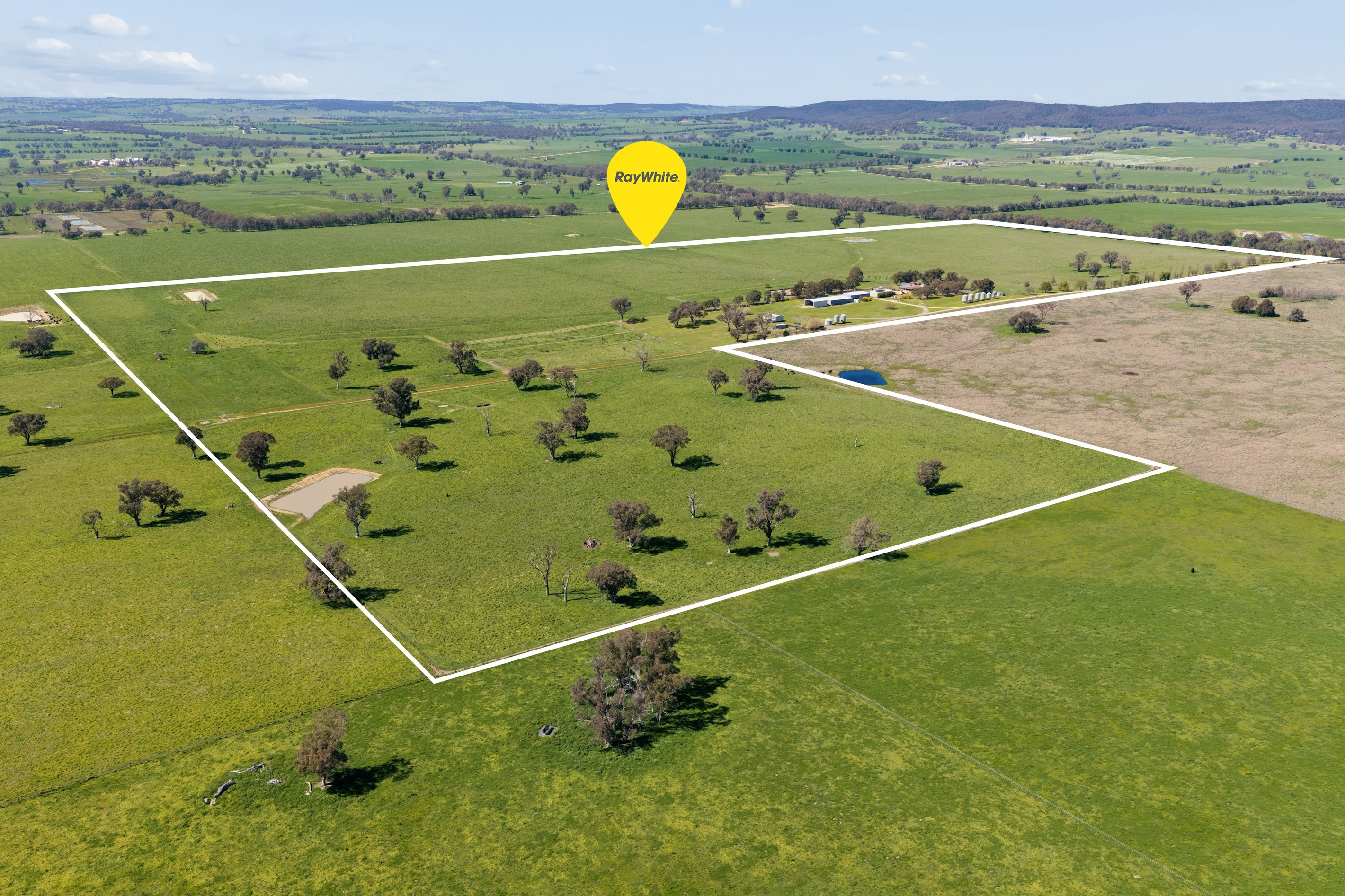 3280 Murringo Road, Young, NSW 2594