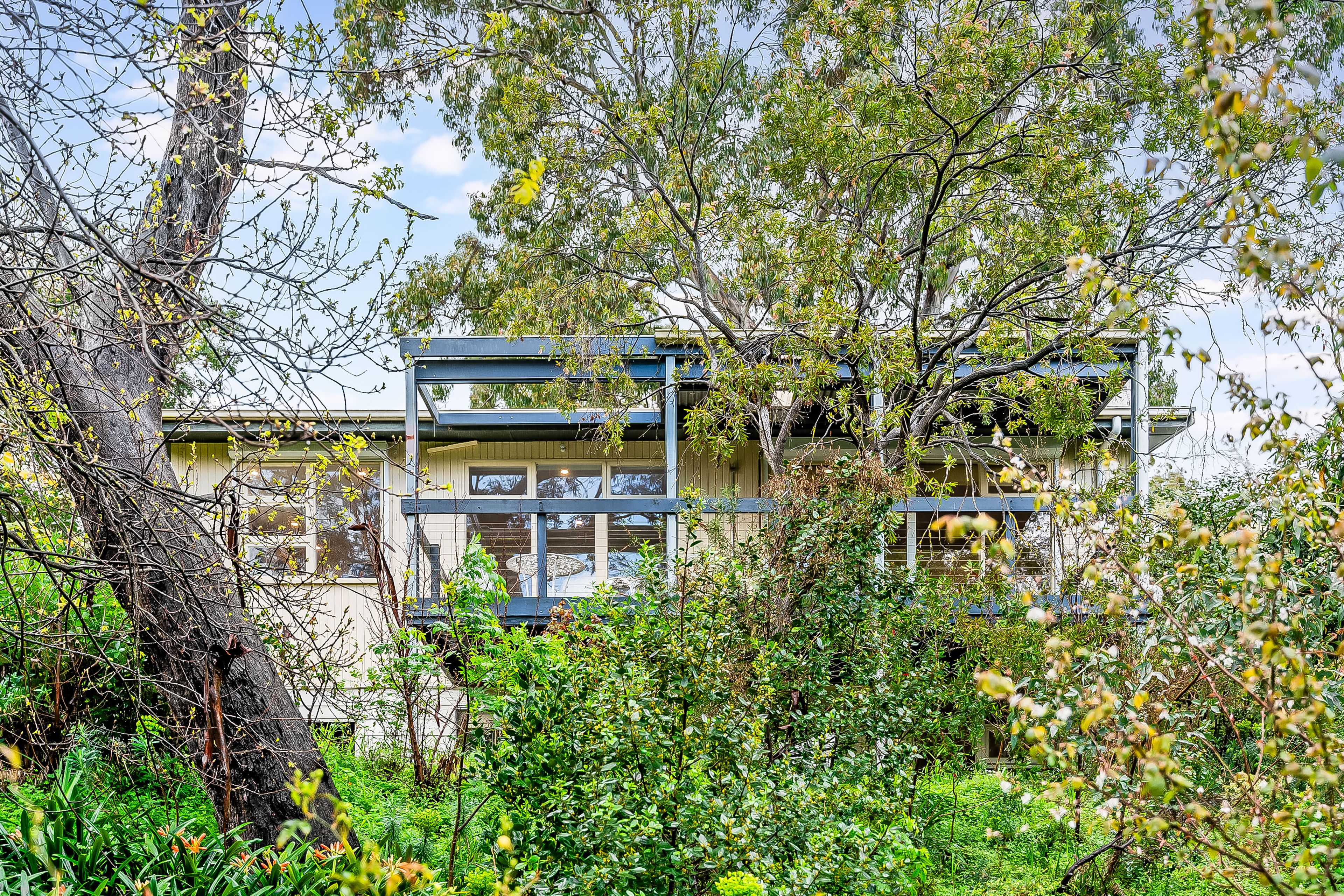 7 Christine Avenue, Belair, SA 5052