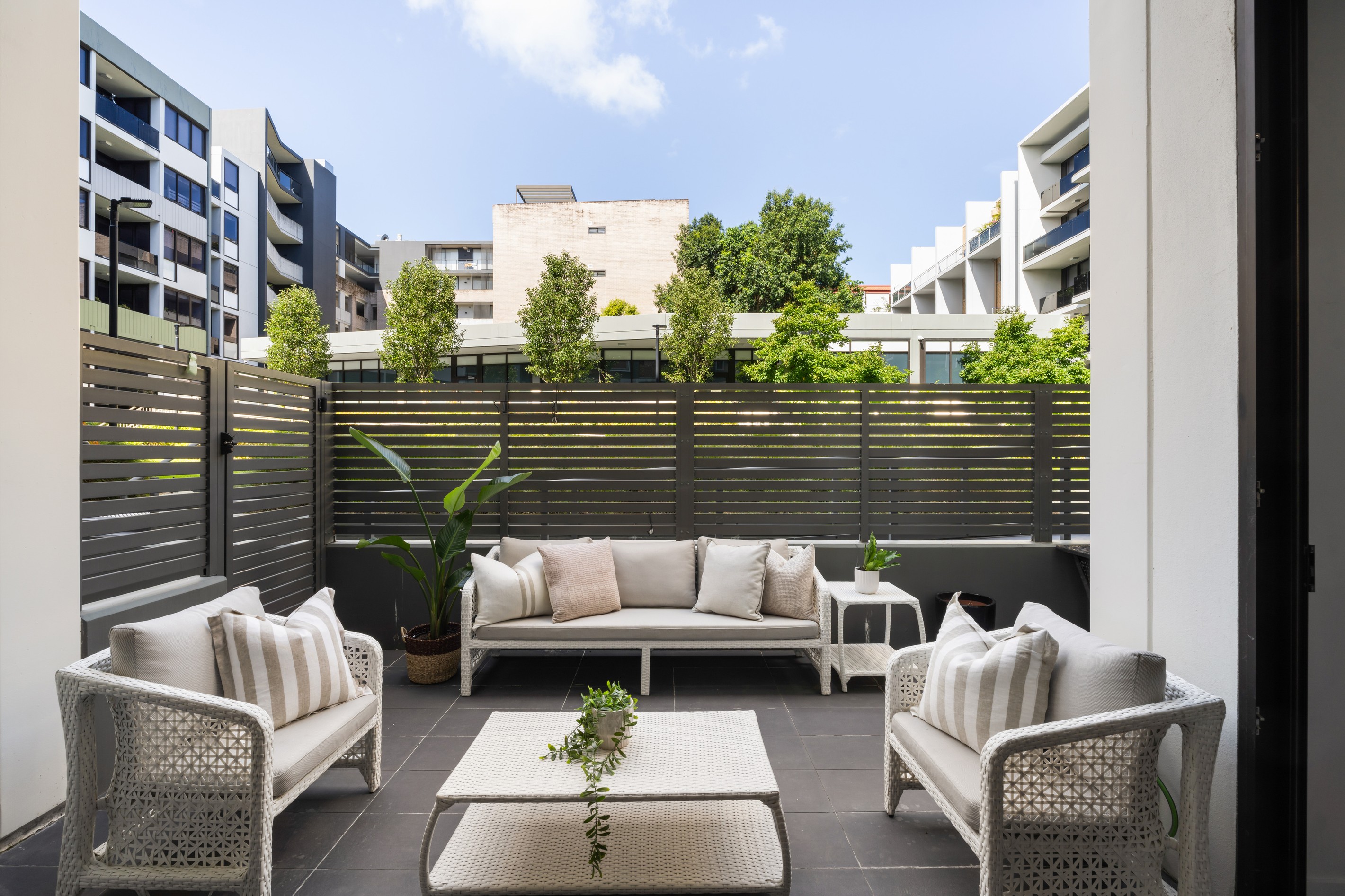 117/347 George Street, Waterloo, NSW 2017