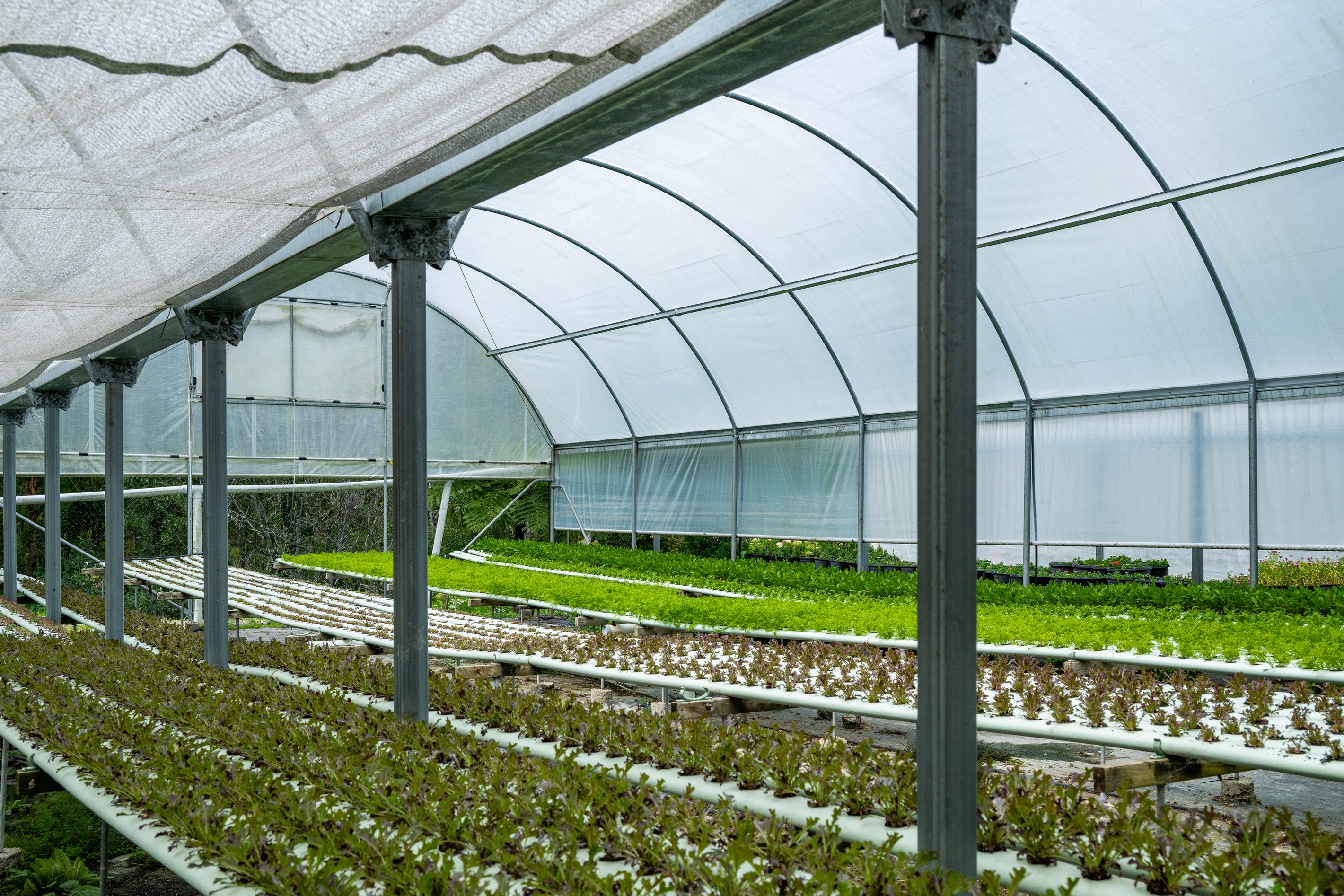 44 Glen Nathan Court, Mount Nathan, QLD 4211