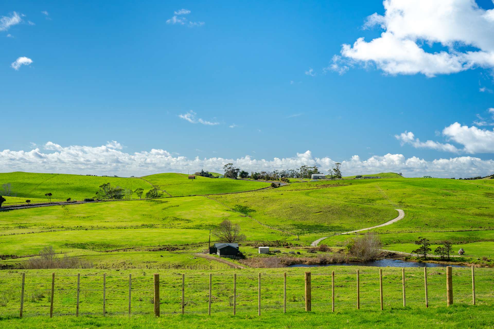 Lot 3 & 4 Kauri Mountain Road photo 13