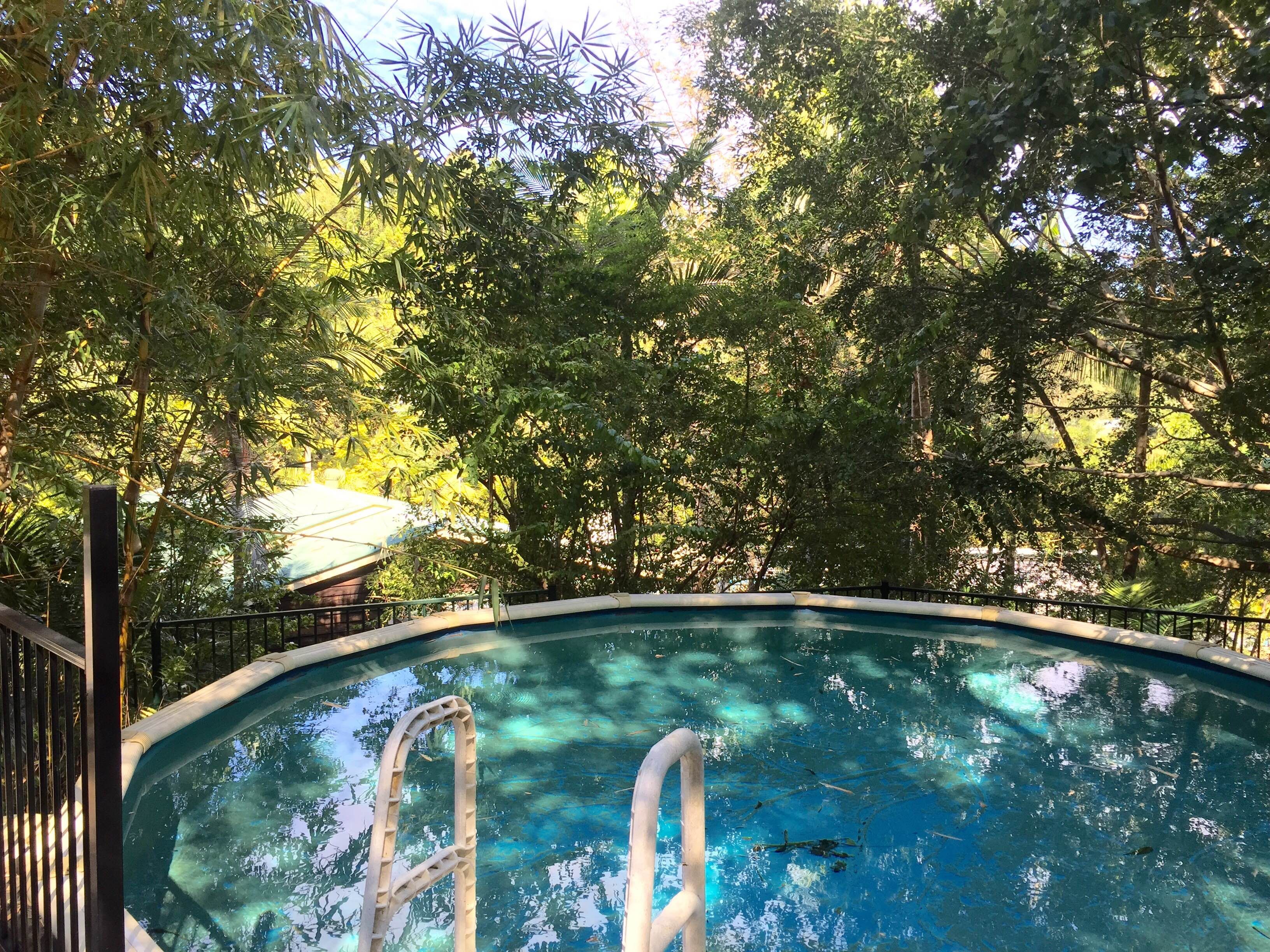 26 Turnipwood Drive, Buderim, QLD 4556