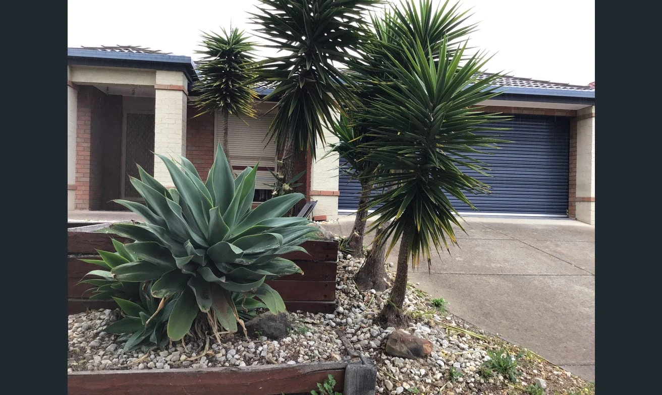 3 Fydler Avenue, Burnside Heights, VIC 3023