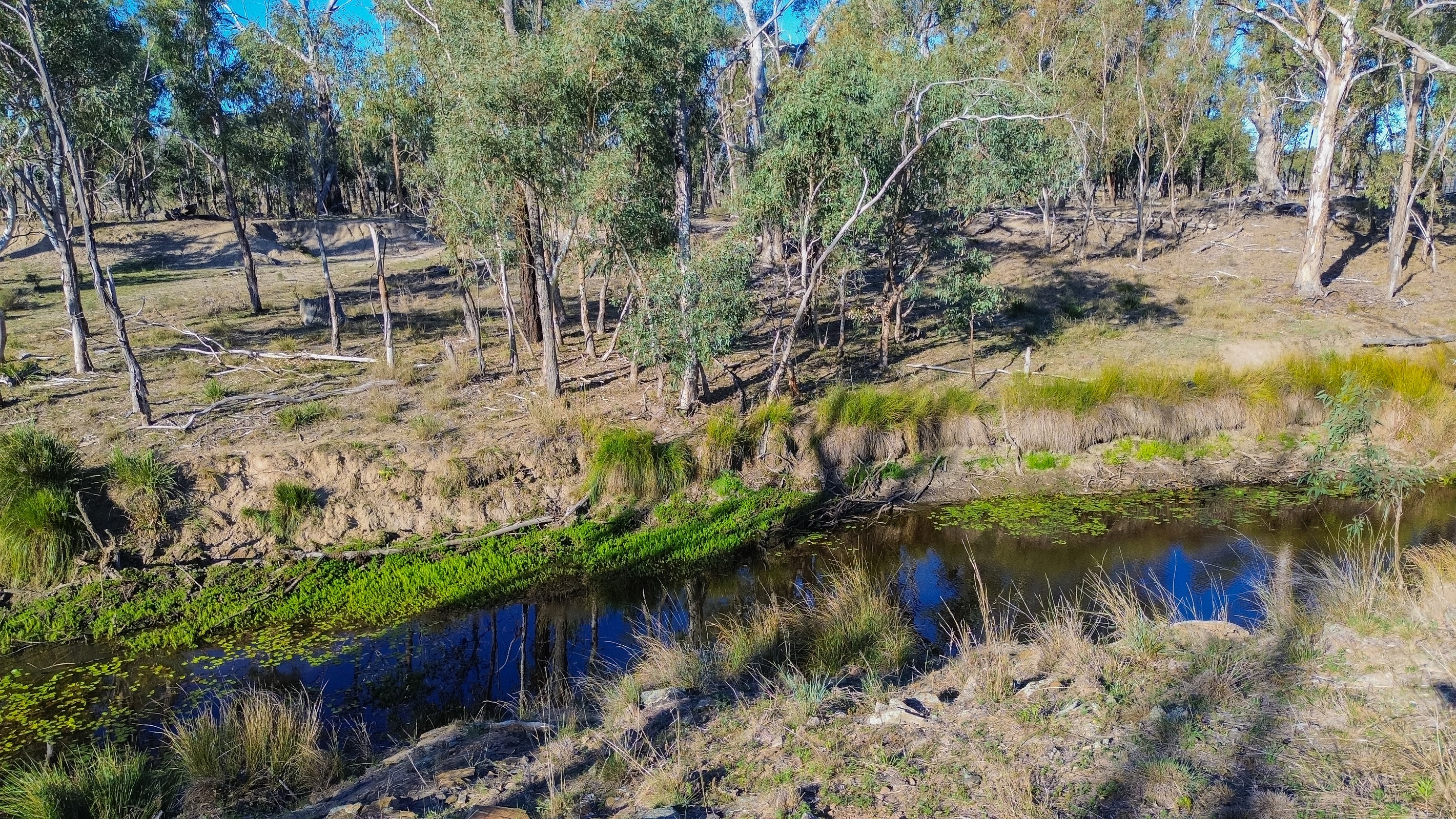 297 Reedy Creek Road, Thanes Creek, QLD 4370