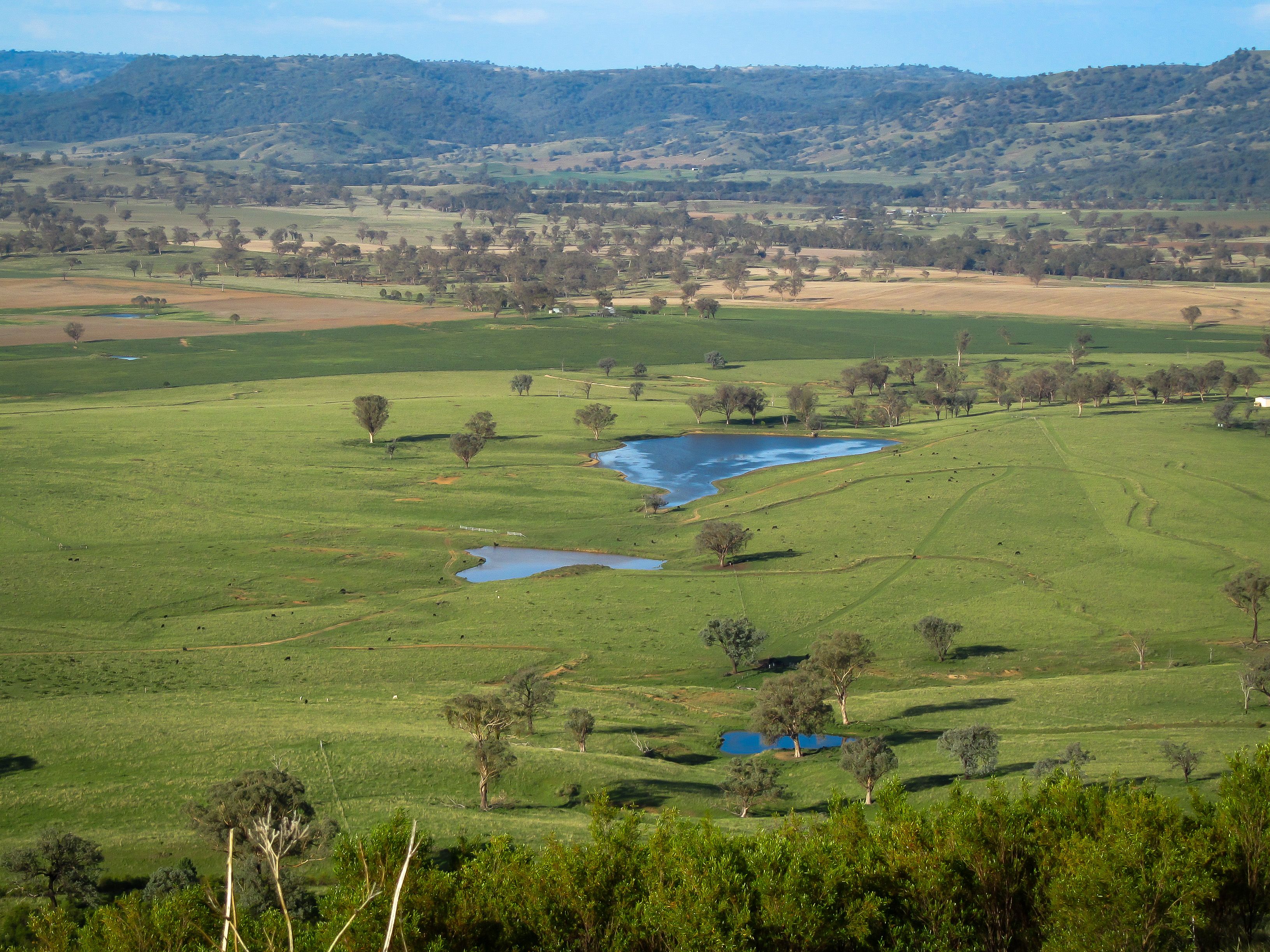 'Belfield' Trevallyn Road, Barraba, NSW 2347 Sold Rural Property Ray White Rural & Livestock