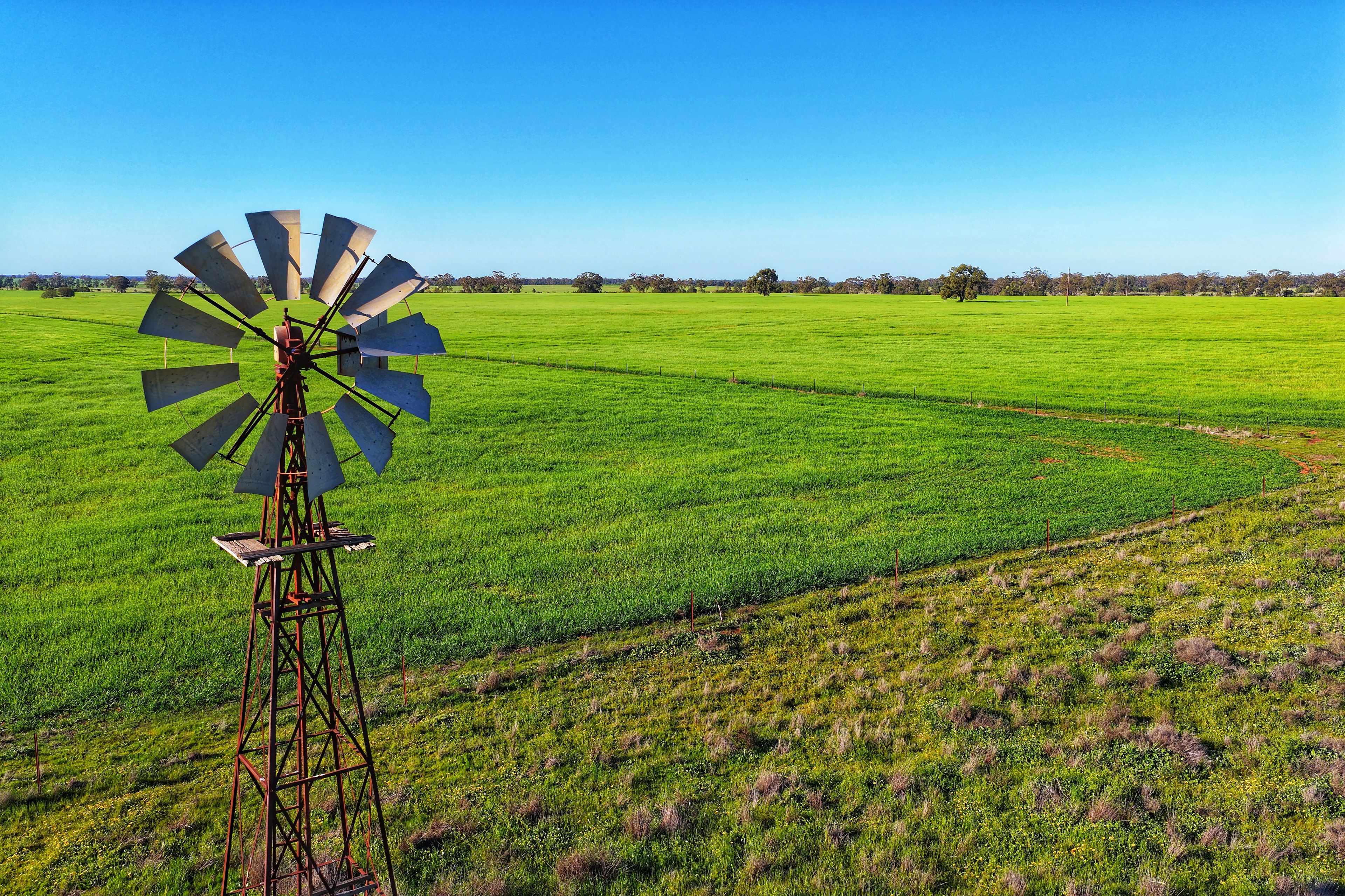 Daisy Springs 2537 The Bogan Way — photo from Ray White Parkes