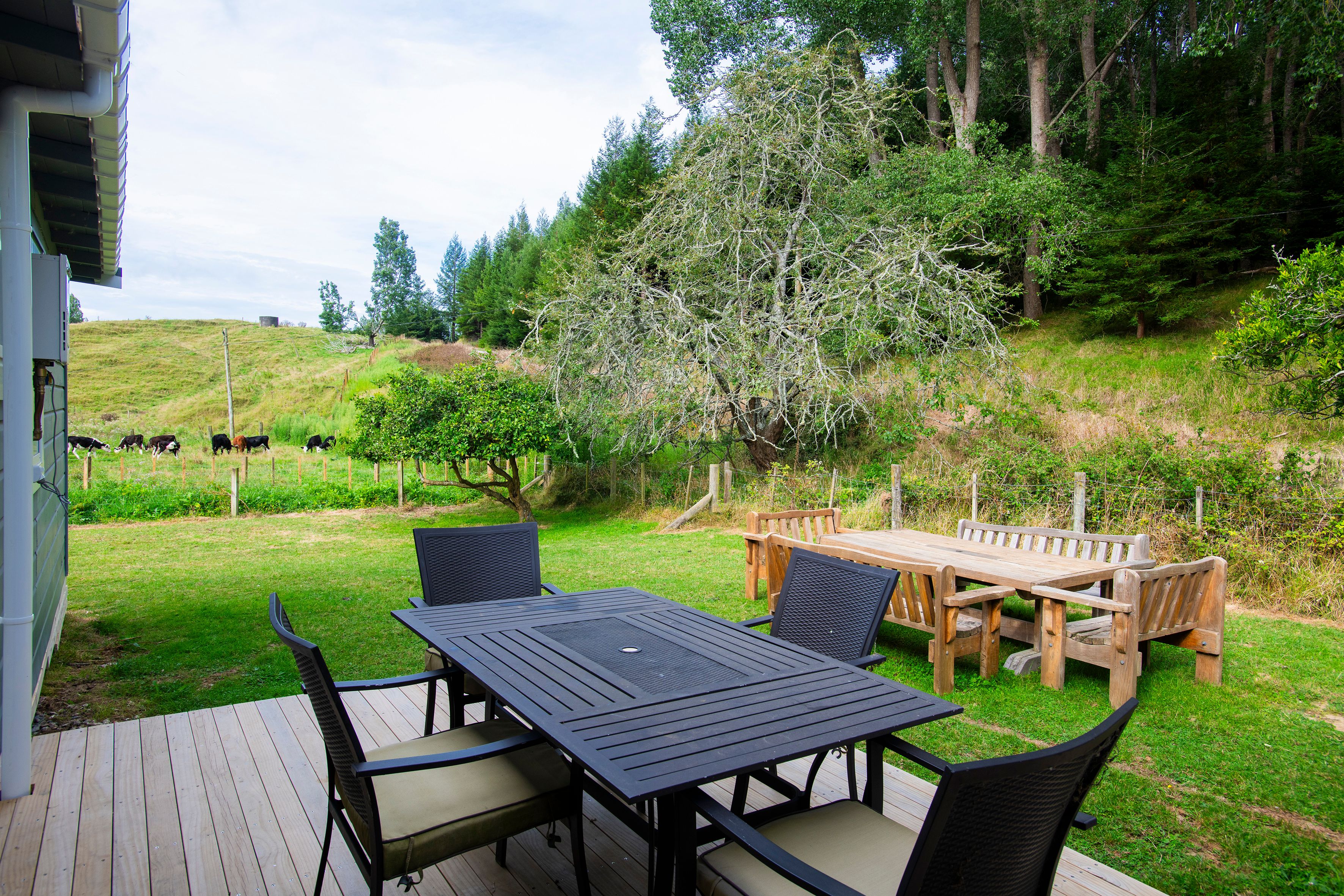 1733 Waingake Road, Waingake, Gisborne District