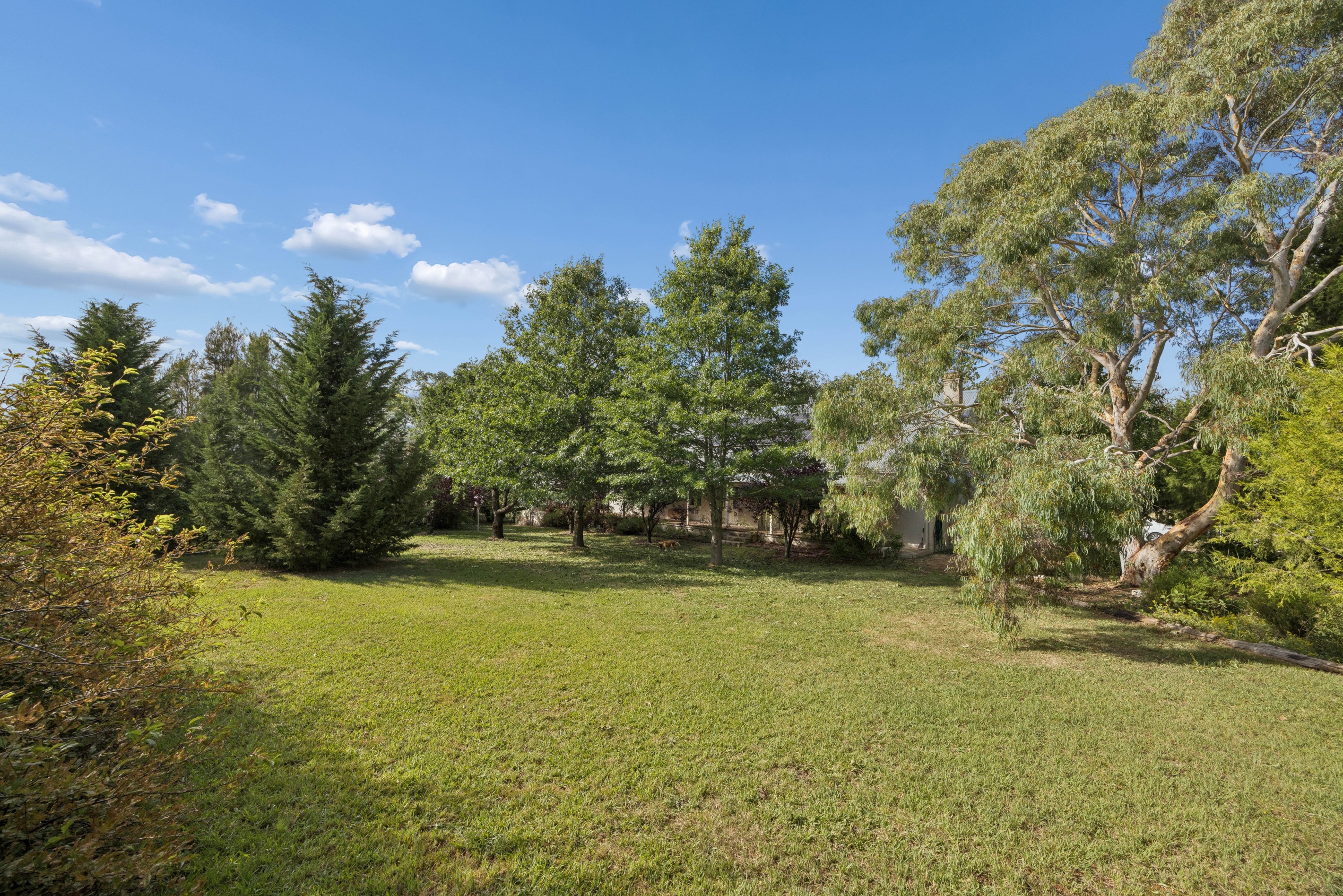 8 Murray Street, Collector, NSW 2581